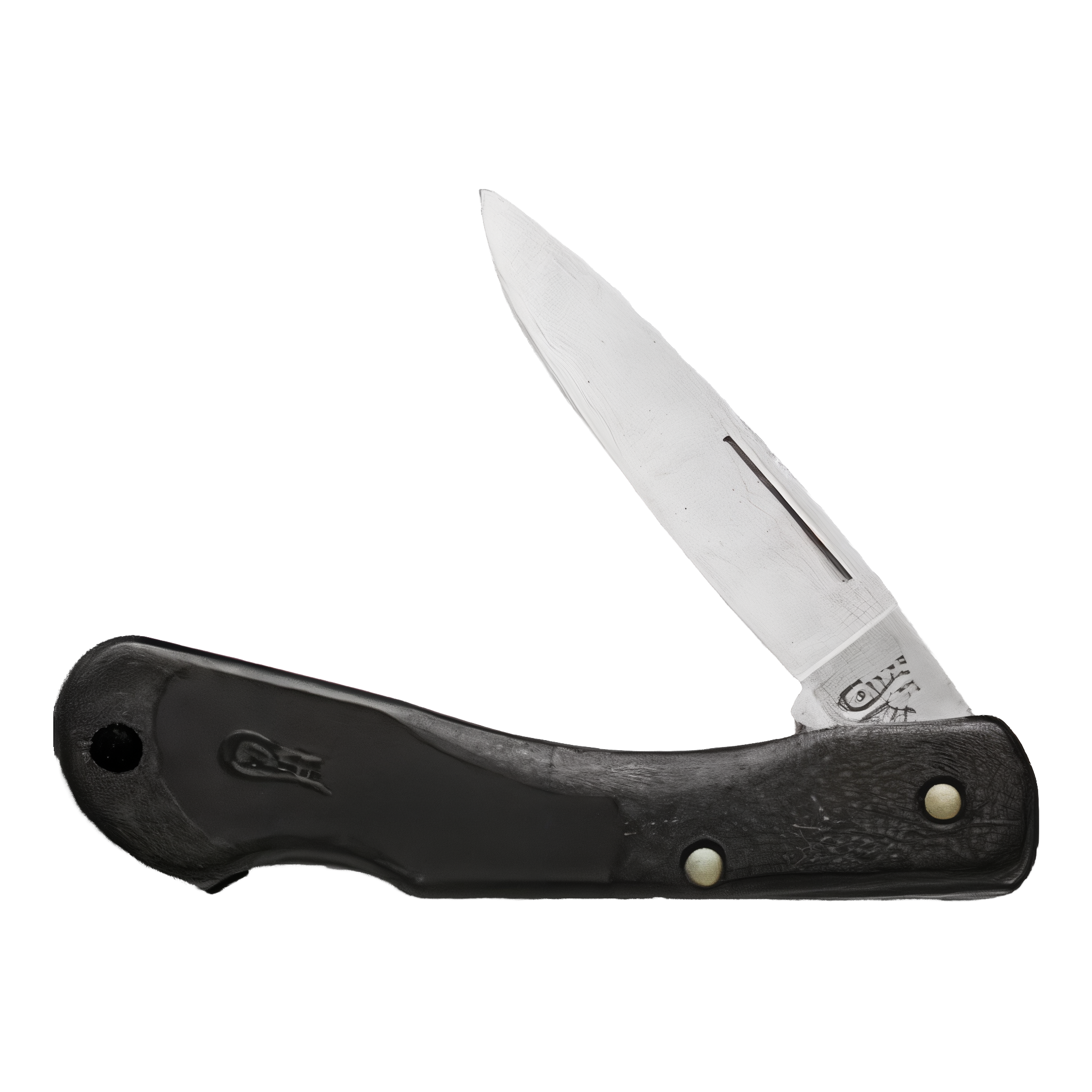 Case XX Knives Lightweight Black Zytel Synthetic Mini Blackhorn Lockback Stainless Pocket Knife