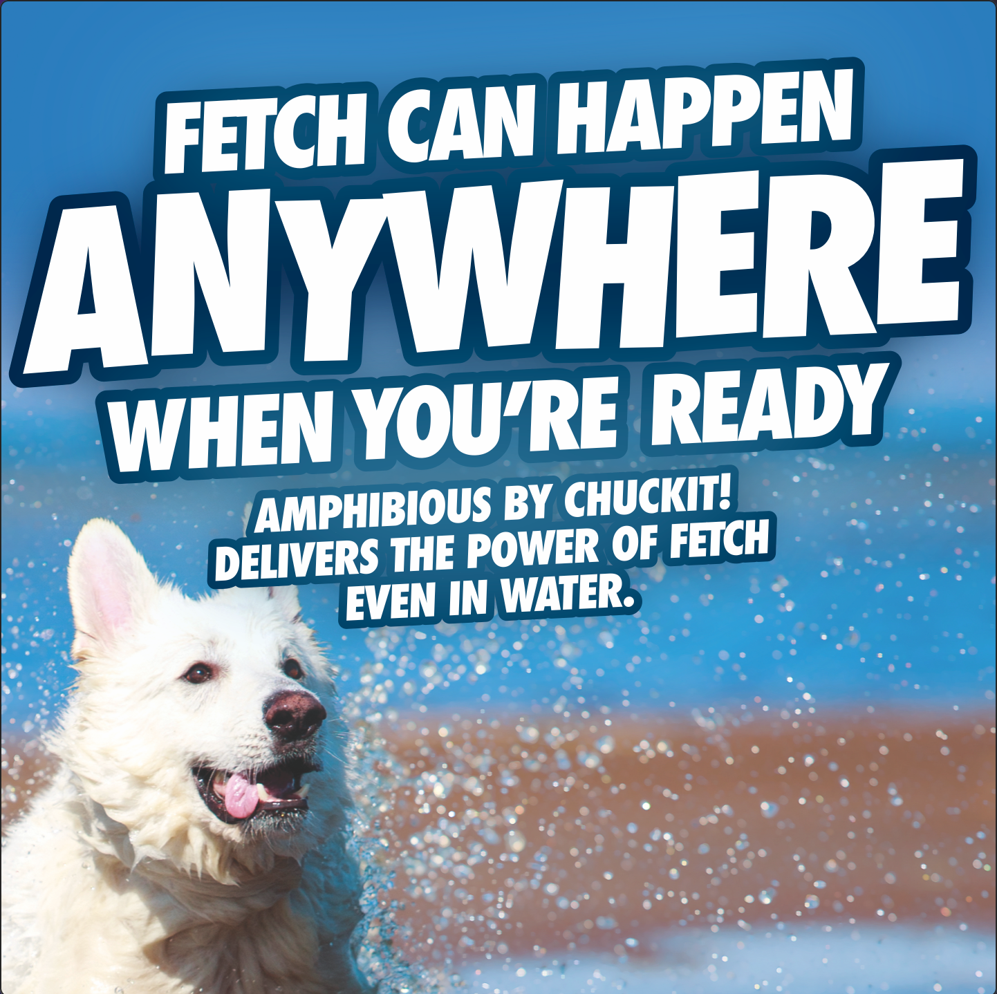 Chuckit! Amphibious Tri-Bumper Fetch Toy