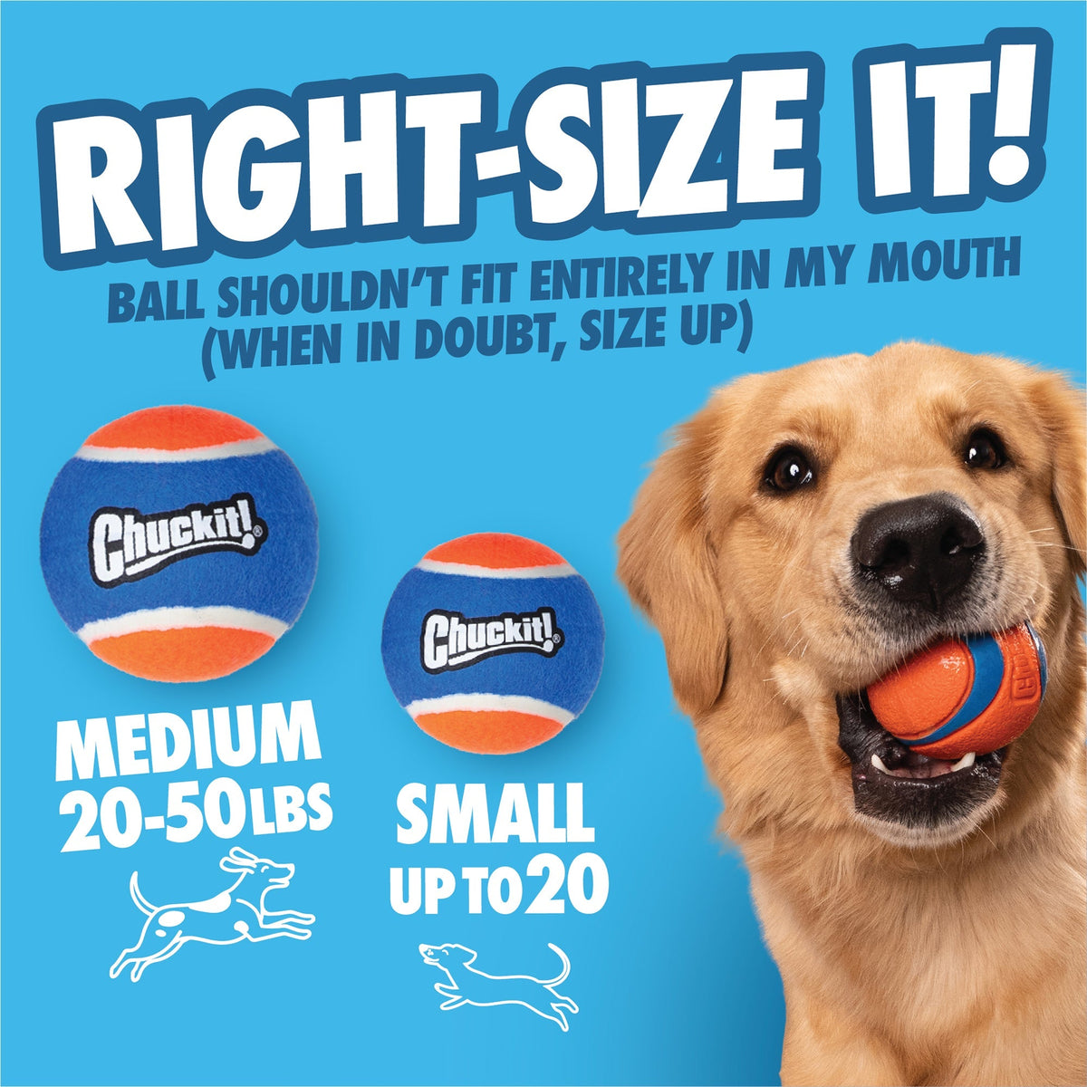 Chuckit! ball size guide: Small up to 20 lbs and Medium 20 to 50 lbs