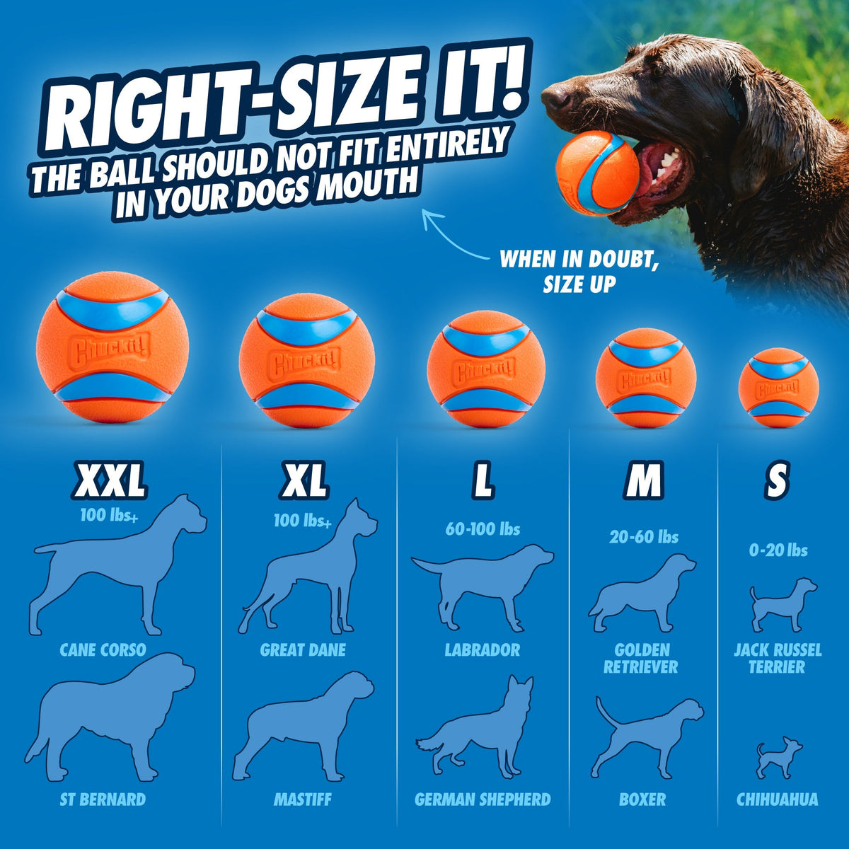 Chuckit! Ultra Ball right size chart by dog breed and weight