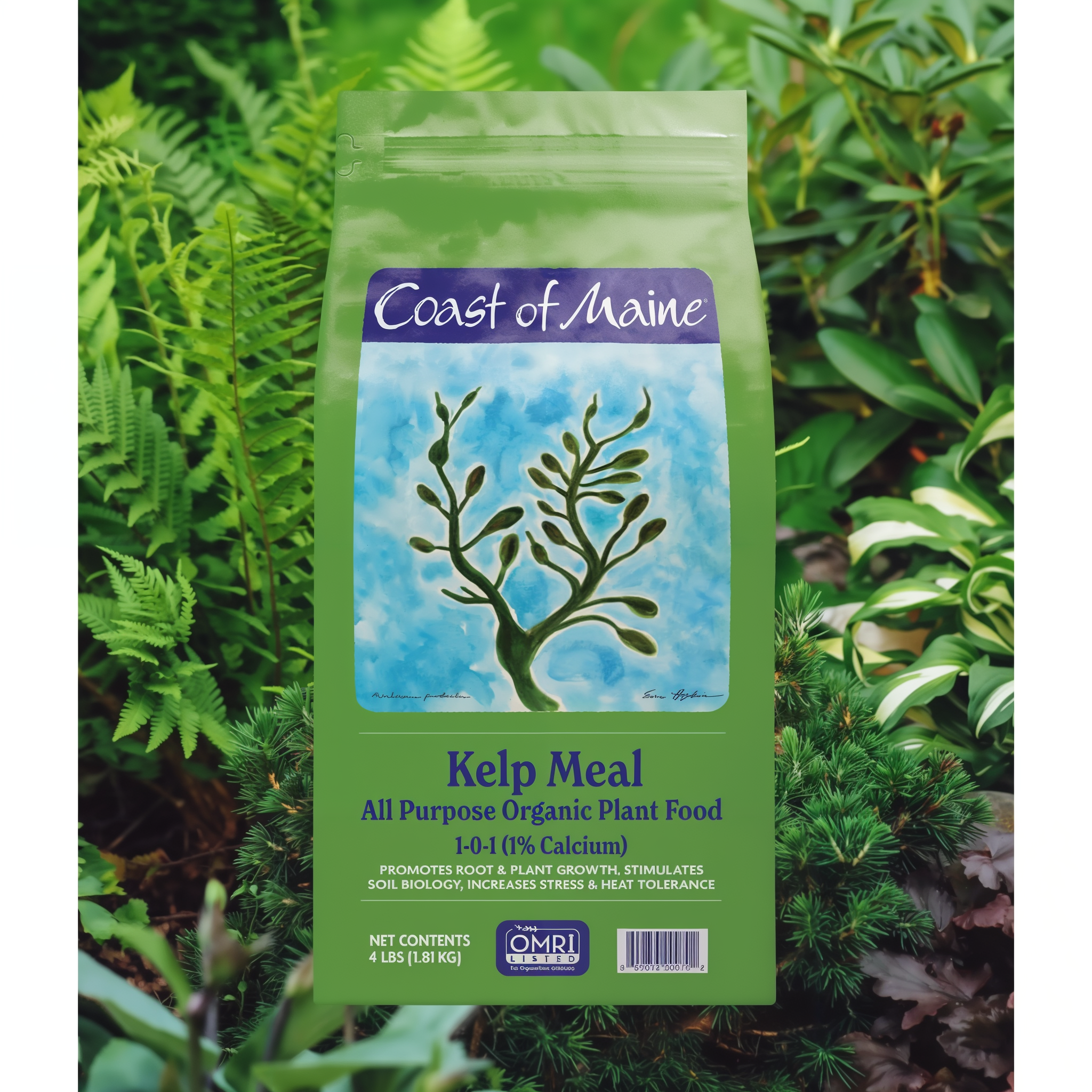 Coast of Maine Kelp Meal 4 lb bag shown in a garden setting surrounded by ferns and foliage