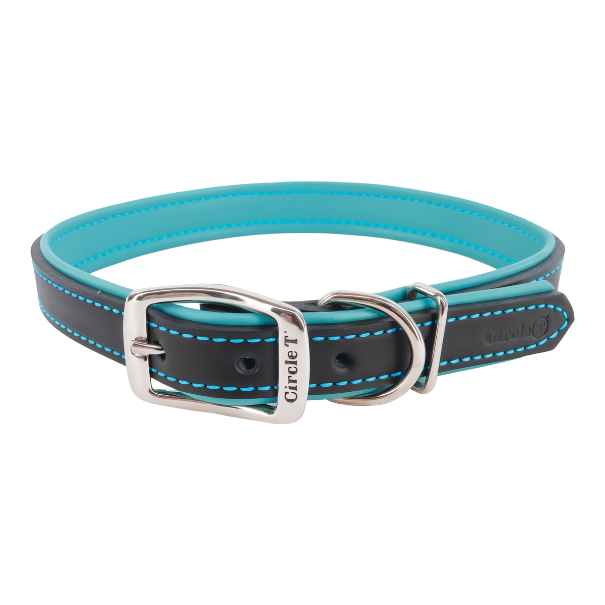 Coastal Pet Circle T Layered Fashion Leather Dog Collar 1 in x 24 in -- product image