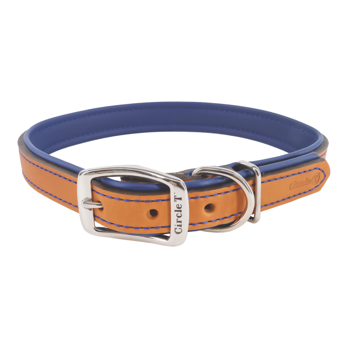 Coastal Pet Circle T Layered Fashion Leather Dog Collar 1 in x 24 in -- product image #Black & Teal