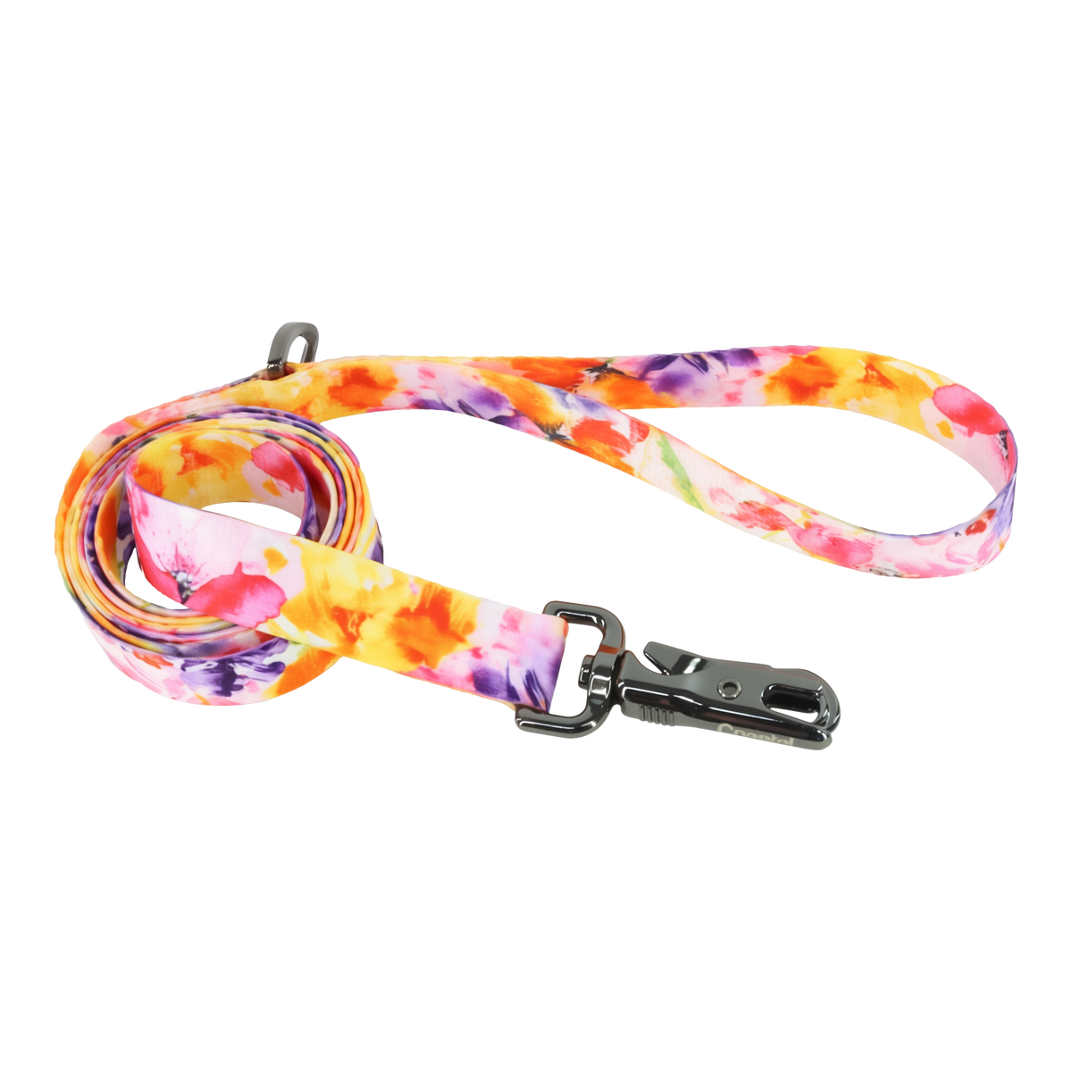 Coastal Pet Inspire Fashion Dog Leash Sherbet Blooms 5/8 in x 6 ft -- product image