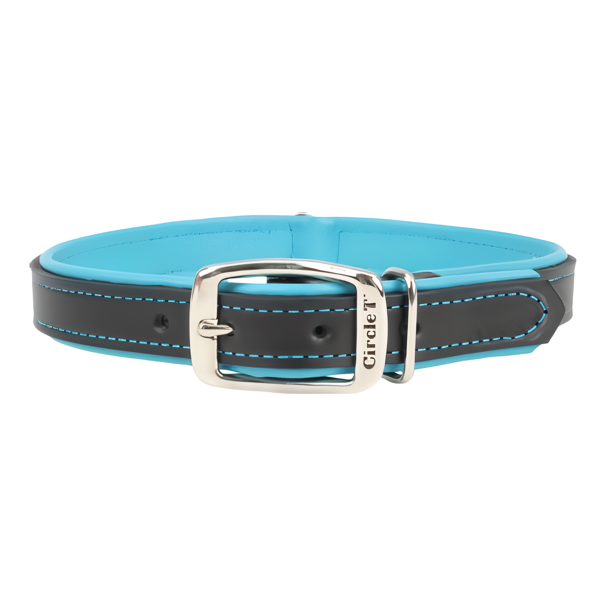 Coastal Pet Circle T Leather Dog Collar in Black and Blue, 14 inches #Black/Blue#14"