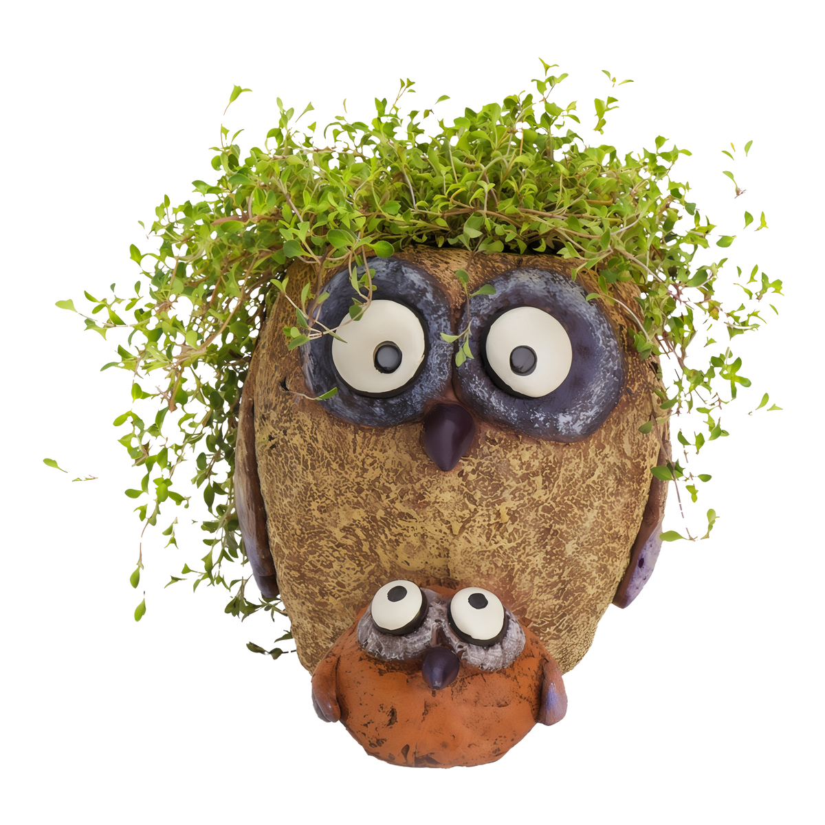 Cohasset Gifts & Gardens Sissy & Bab Owl Planter -- product image