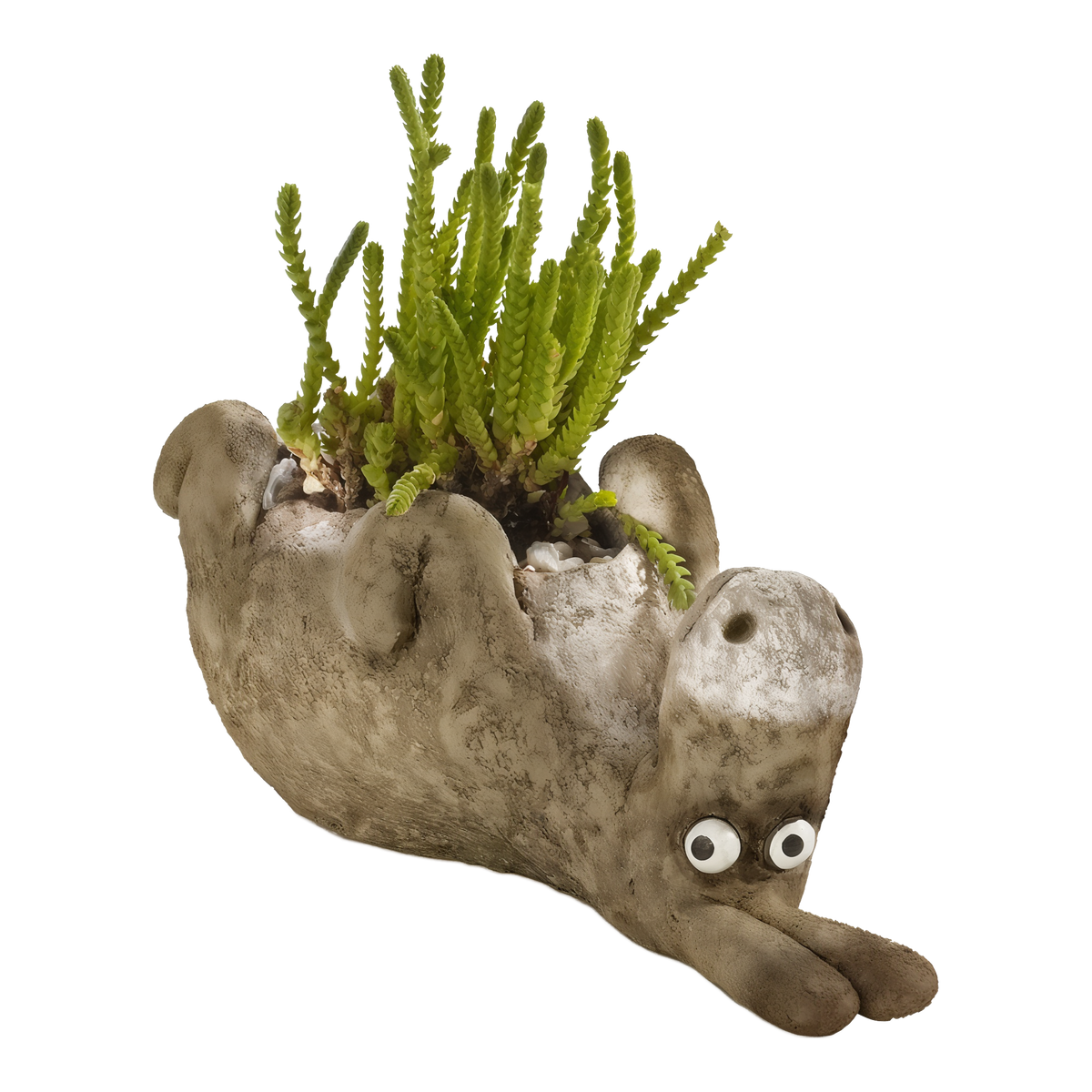 Cohasset Gifts & Gardens Chester Donkey Planter -- product image