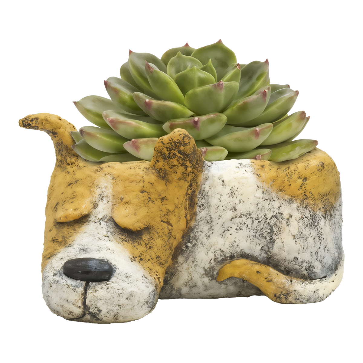 Cohasset Gifts & Gardens Luna Sleeping Dog Planter -- product image