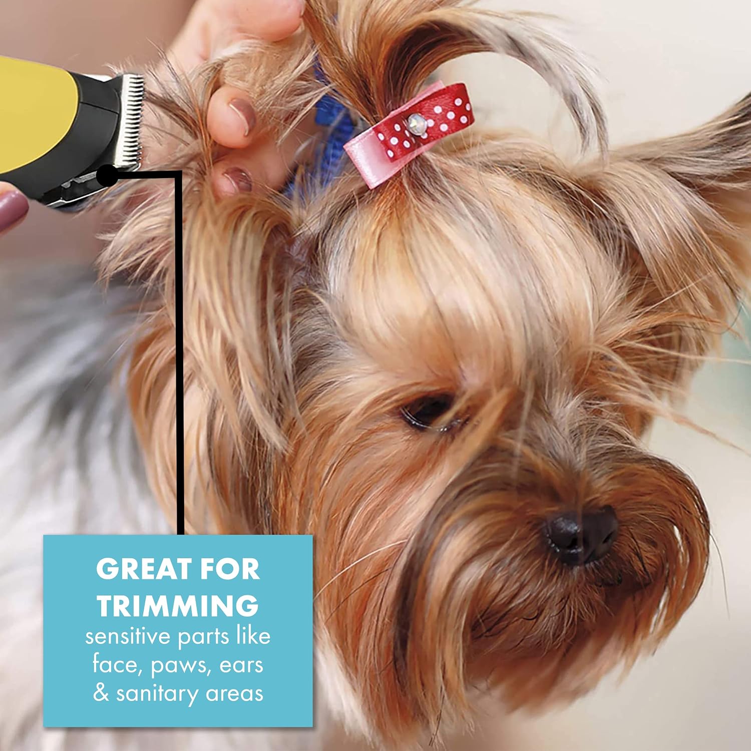 ConairPro Palm Pro trimmer used for trimming sensitive parts like face, paws, and ears on a Yorkie