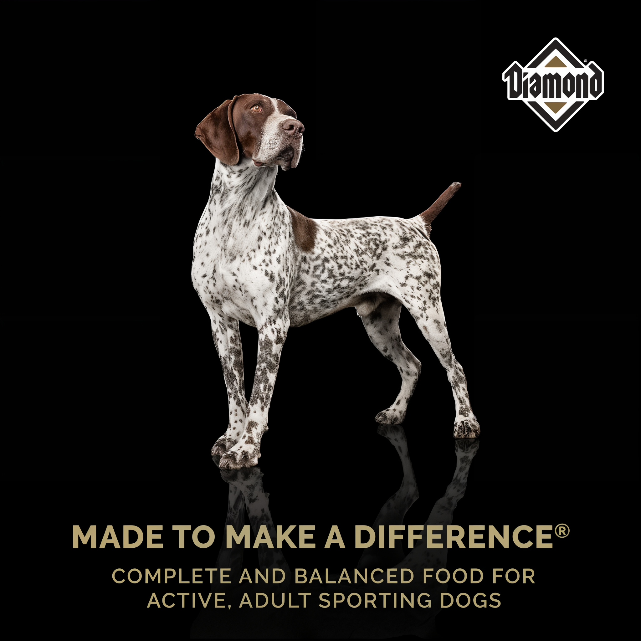A German Shorthaired Pointer — Made to Make a Difference, complete and balanced food for active adult sporting dogs