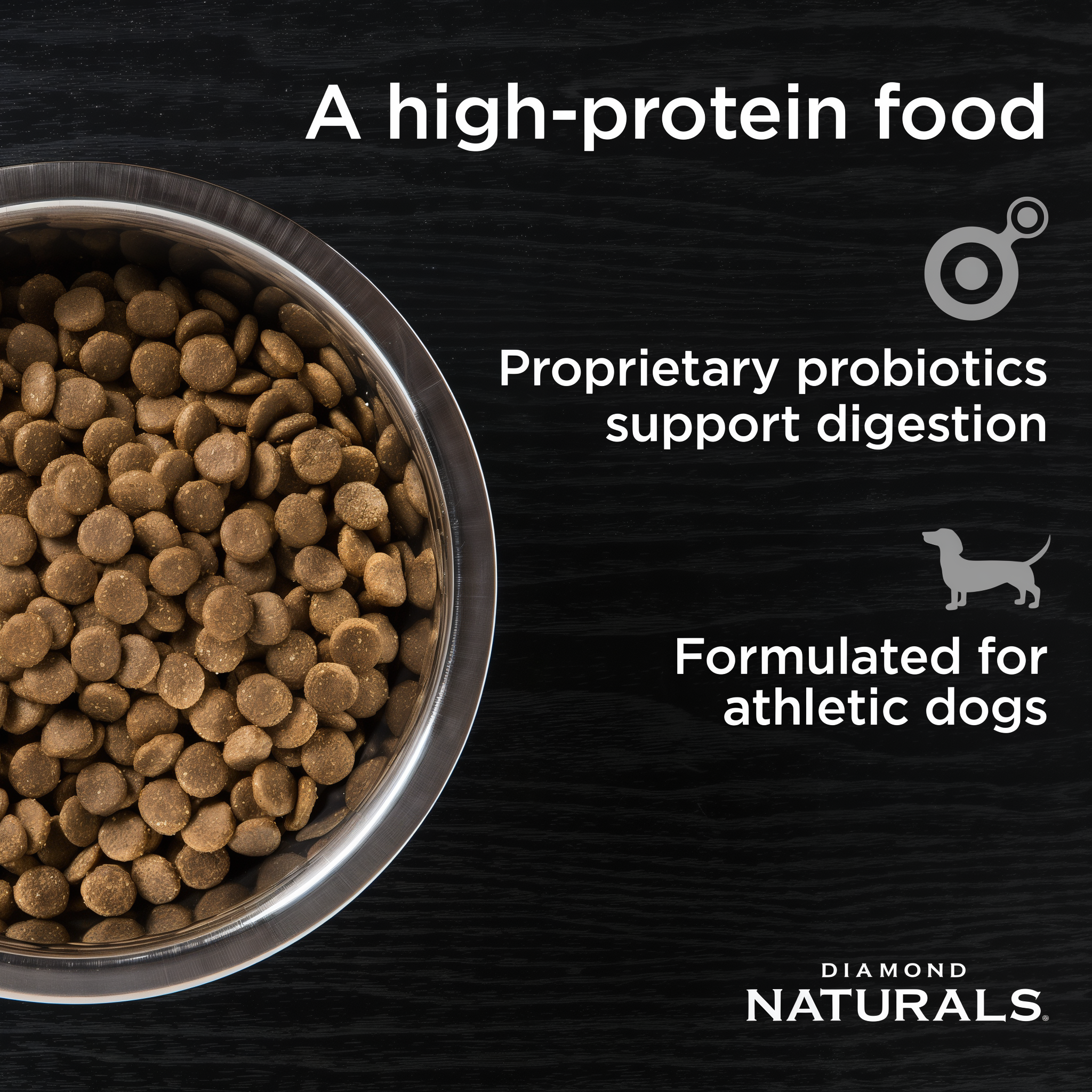 A bowl of Extreme Athlete kibble — a high-protein food formulated for athletic dogs
