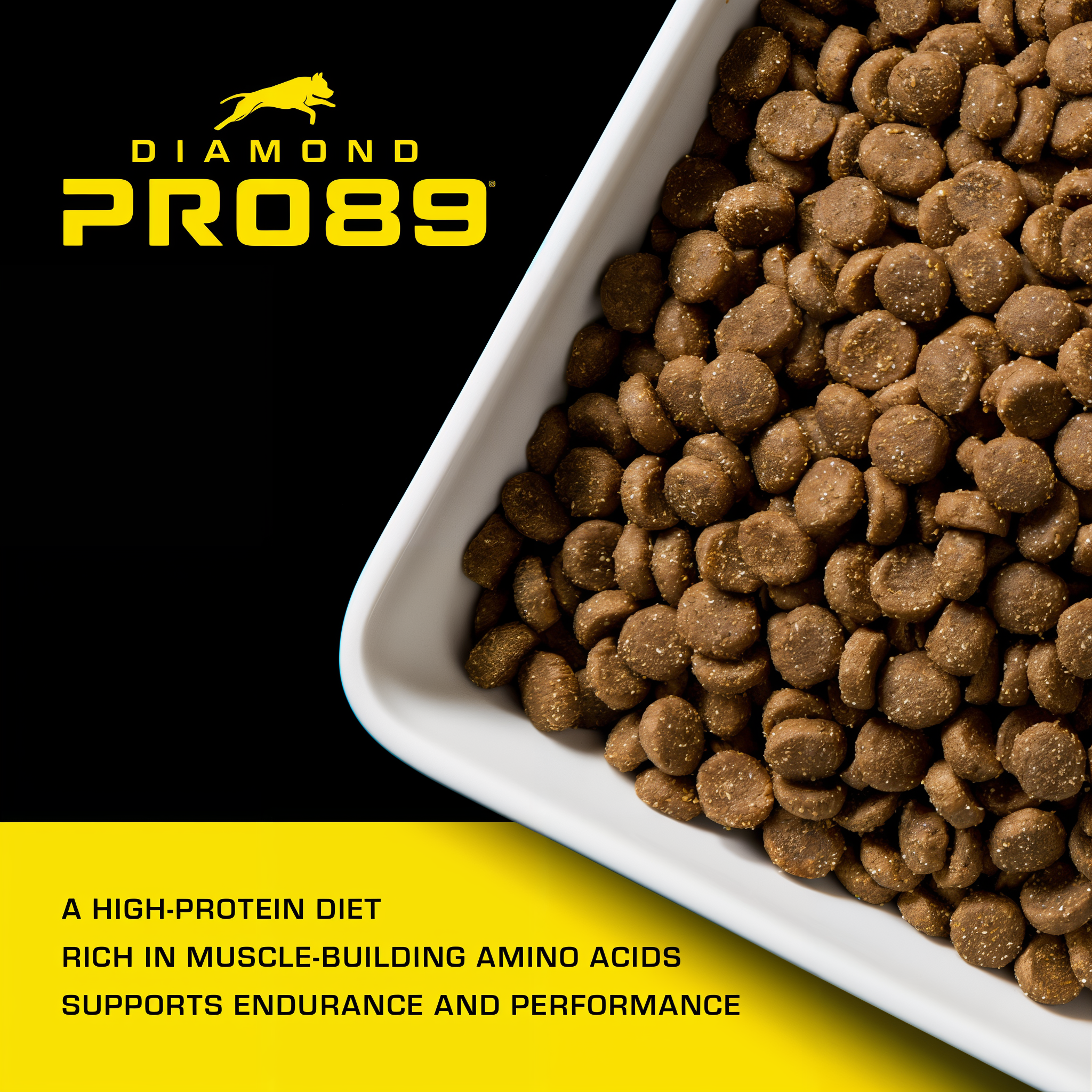 A tray of Diamond Pro89 kibble — a high-protein diet rich in muscle-building amino acids