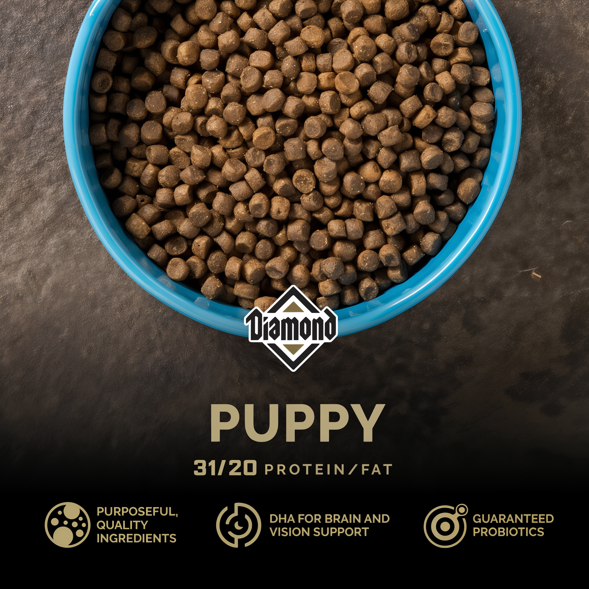 A blue ceramic bowl filled with Diamond Puppy kibble — 31/20 protein and fat with DHA and guaranteed probiotics