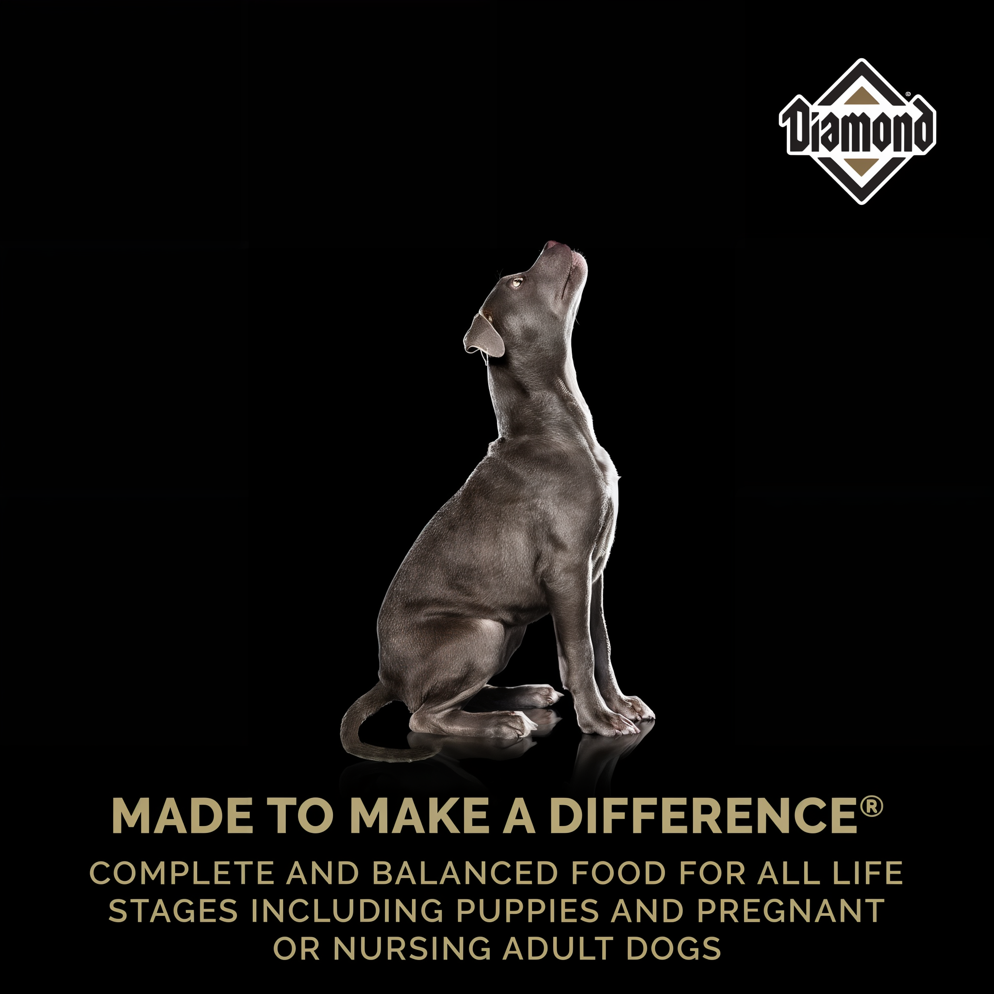 A silver puppy above text reading Made to Make a Difference — complete and balanced food for all life stages including puppies and pregnant or nursing adult dogs