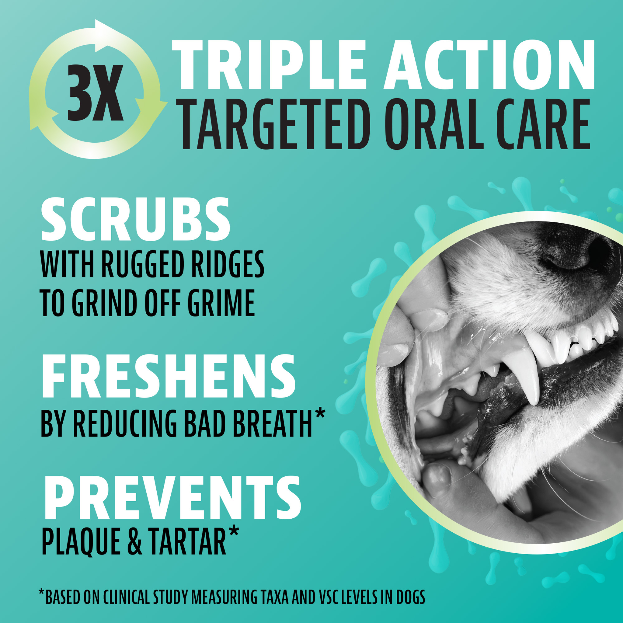 Canine oral postbiotic technology works below the surface for a deeper clean