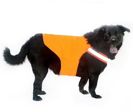 Tick and Insect Repelling Sport Dog Vest