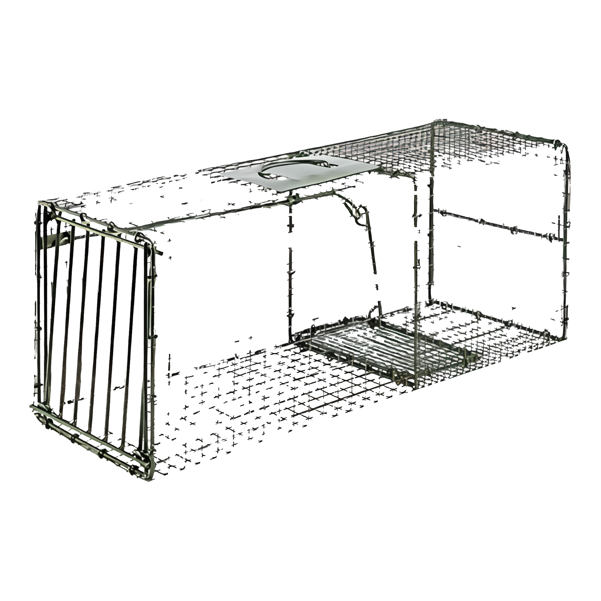 Duke Animal Traps Duke HD Cage Trap