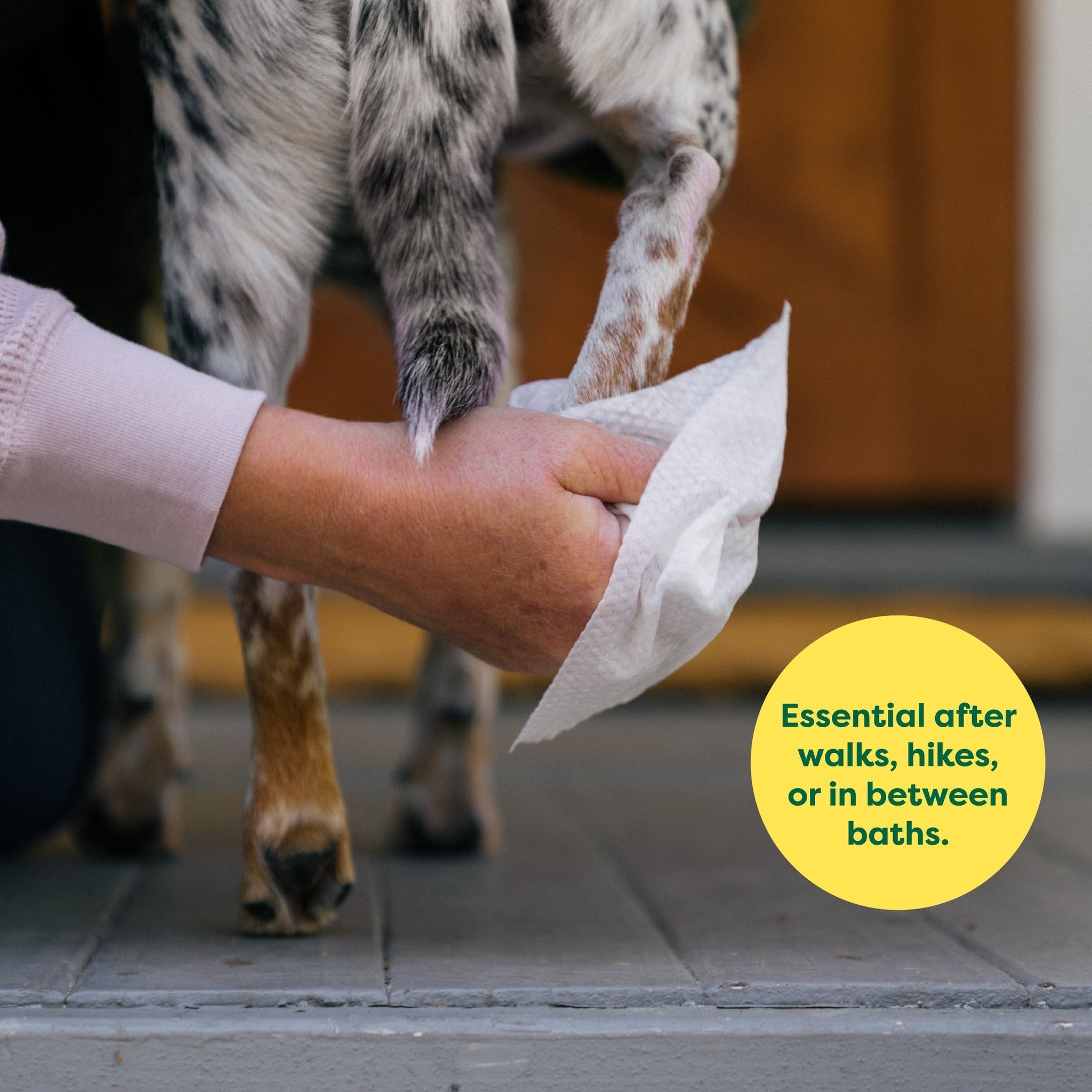 When to reach for Earth Rated lavender grooming wipes for your dog