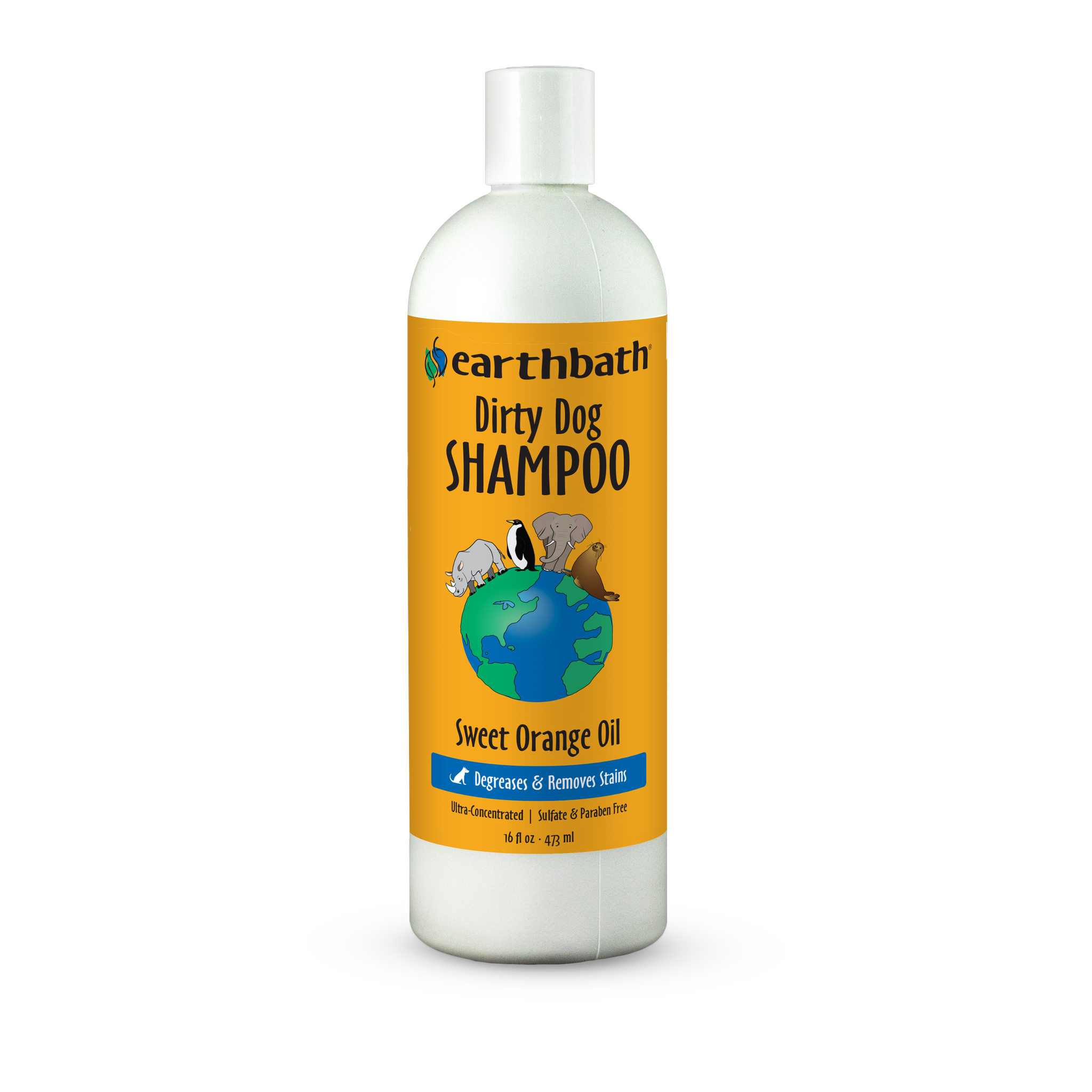 Earthbath Dirty Dog Shampoo 16 fl oz front #16 fl oz