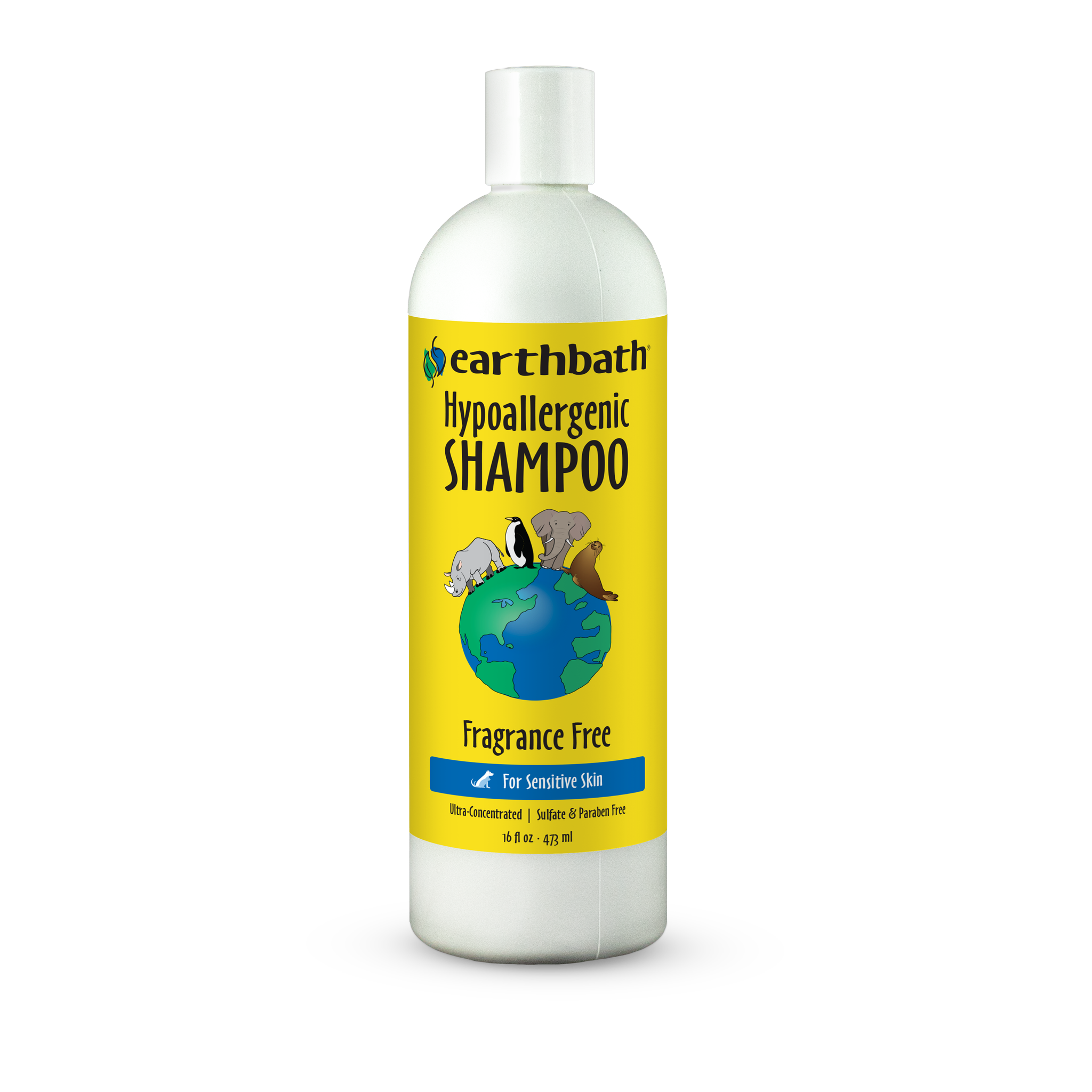 Earthbath Hypoallergenic Shampoo 16 fl oz front #16 fl oz