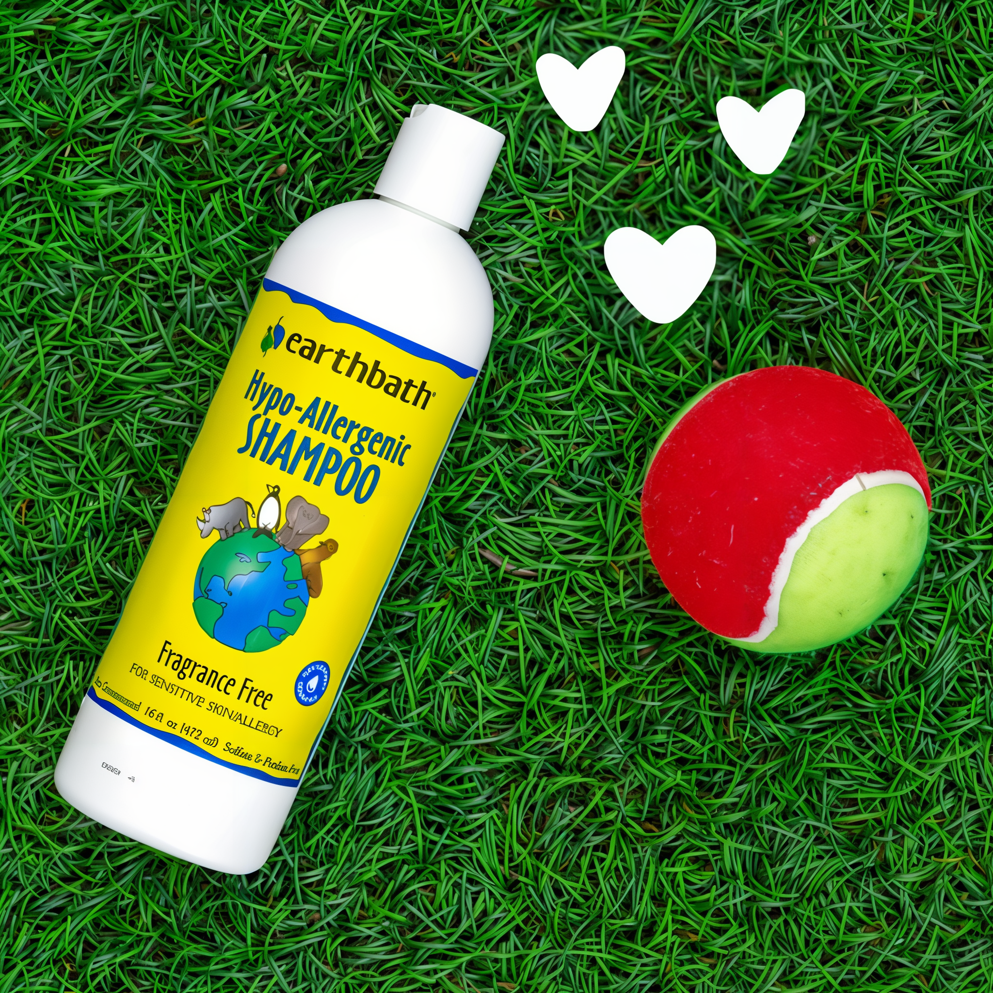 Earthbath Hypoallergenic Shampoo benefits panel
