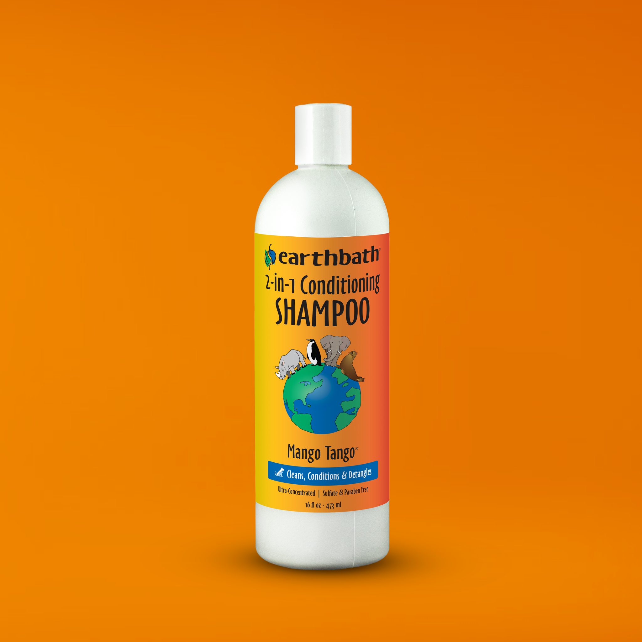 Earthbath 2-in-1 Conditioning Shampoo - Mango Tango on brand color background