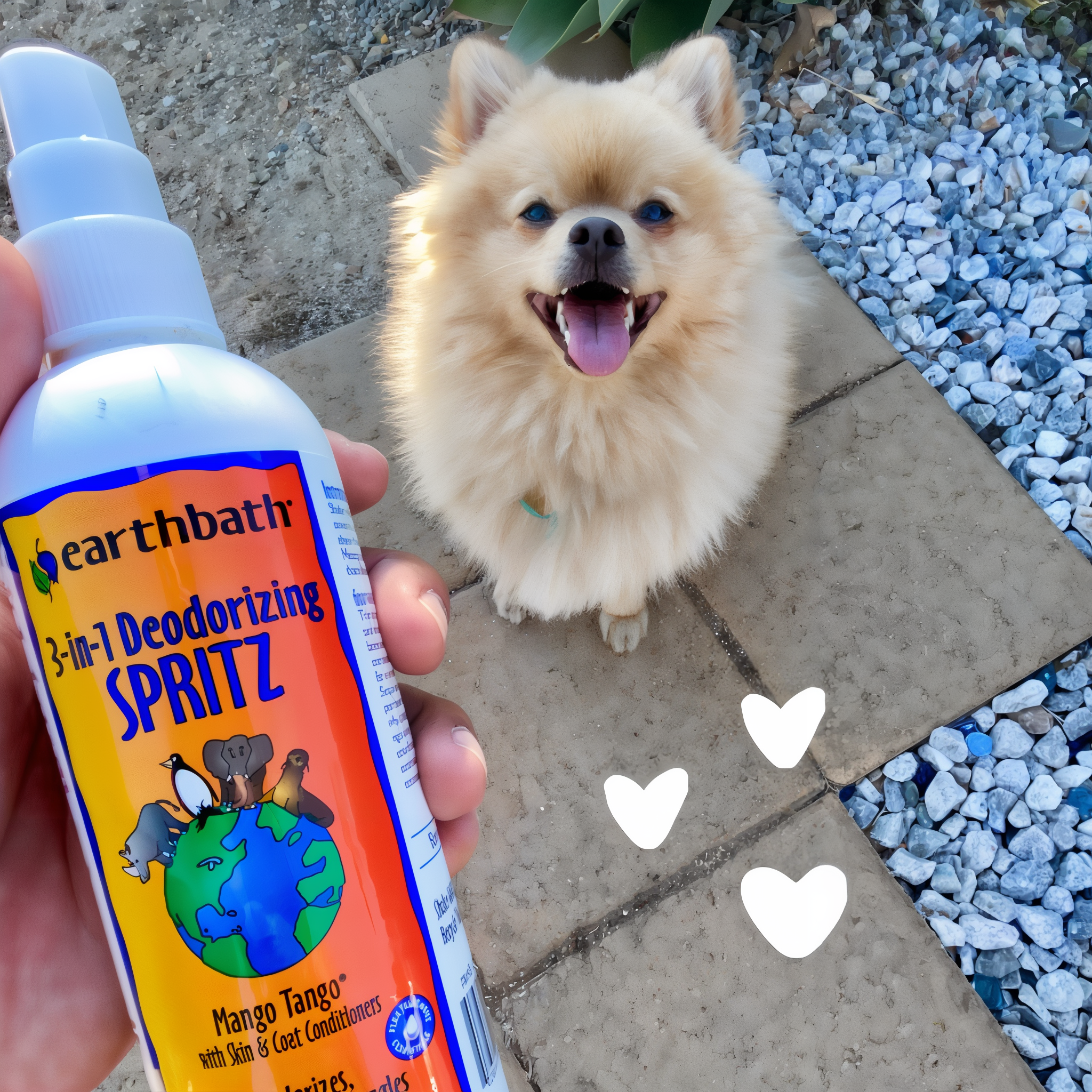 Earthbath 3-in-1 Deodorizing Spray - Mango Tango benefits panel