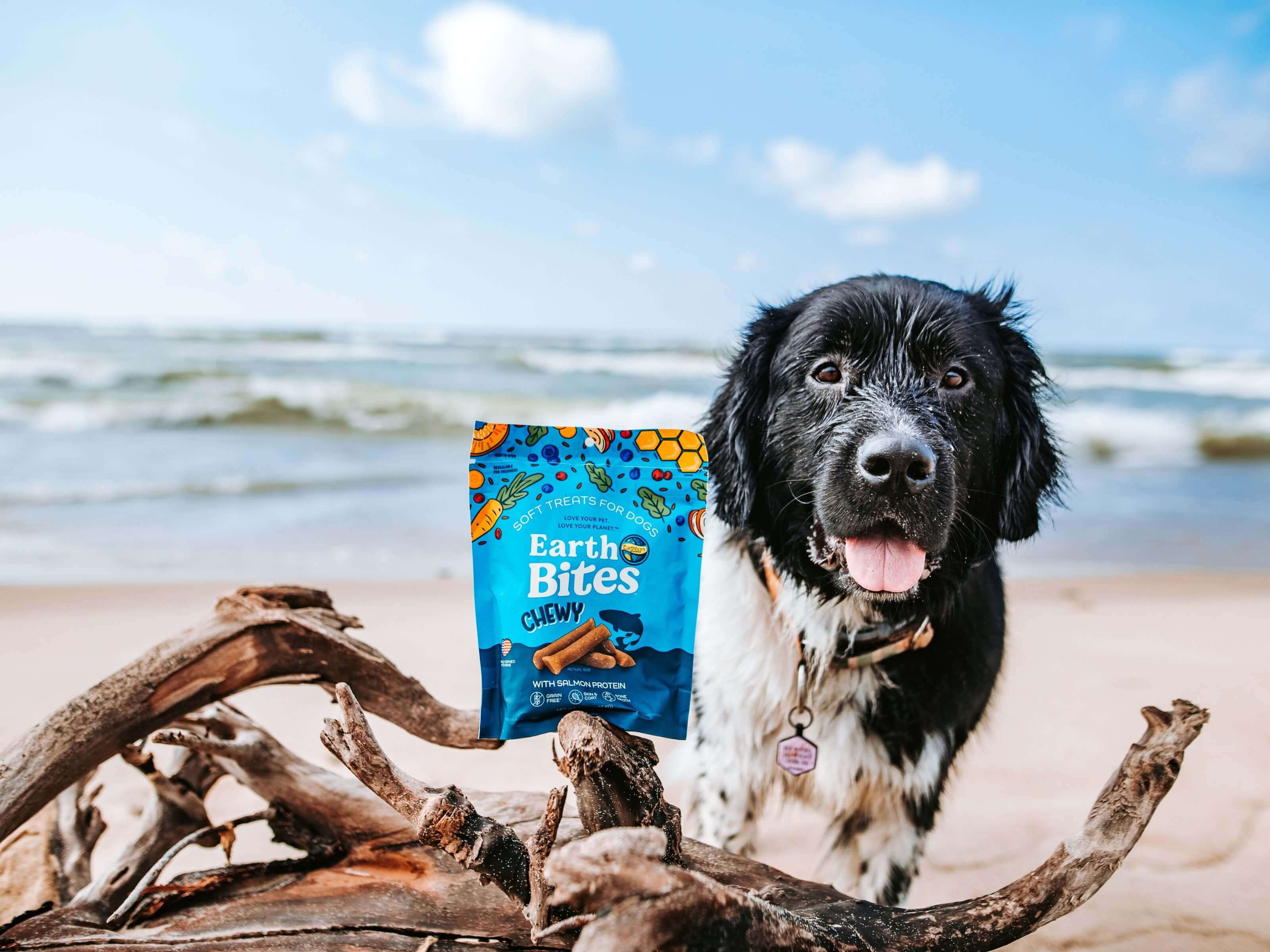 Dog on the beach next to a bag of EarthBites Chewy salmon protein dog treats