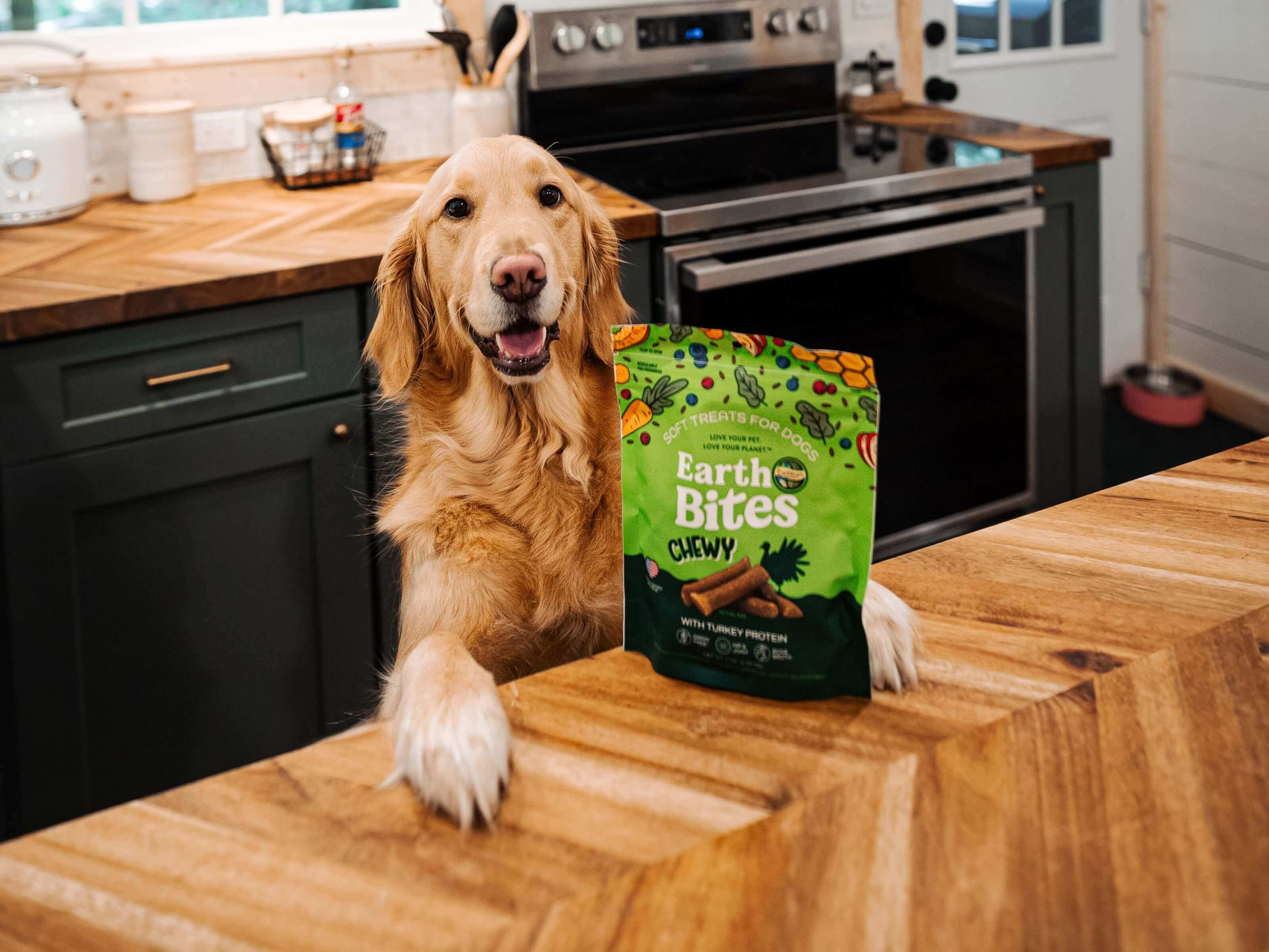 Golden Retriever at a kitchen counter with a bag of EarthBites Chewy turkey protein dog treats