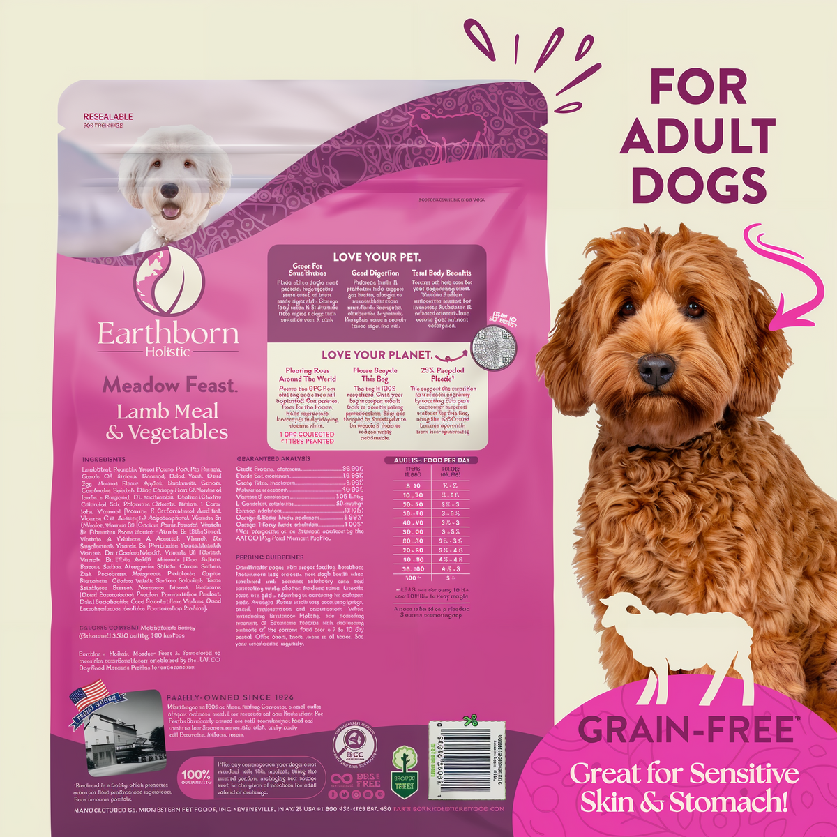 Earthborn Holistic Meadow Feast Grain-Free Lamb Meal & Vegetables Dry Dog Food 4 lb -- packaging
