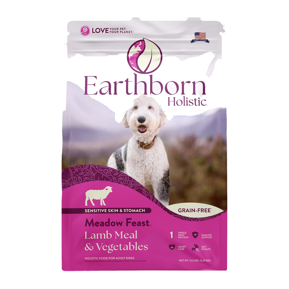 Earthborn Holistic Meadow Feast Grain-Free Lamb Meal & Vegetables Dry Dog Food 4 lb -- product image