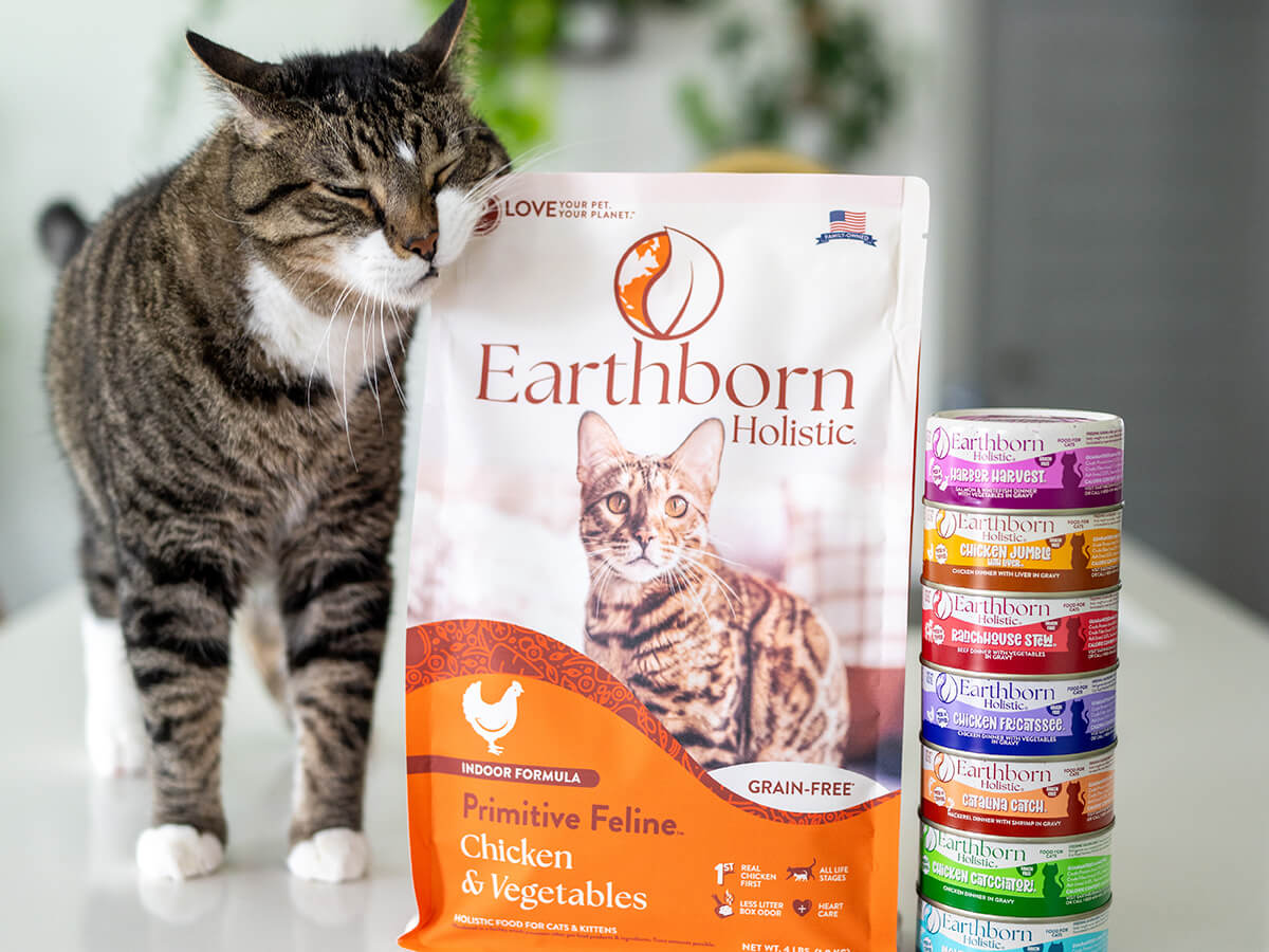 Tabby cat sniffing a bag of Earthborn Holistic Primitive Feline next to a stack of Earthborn wet food cans