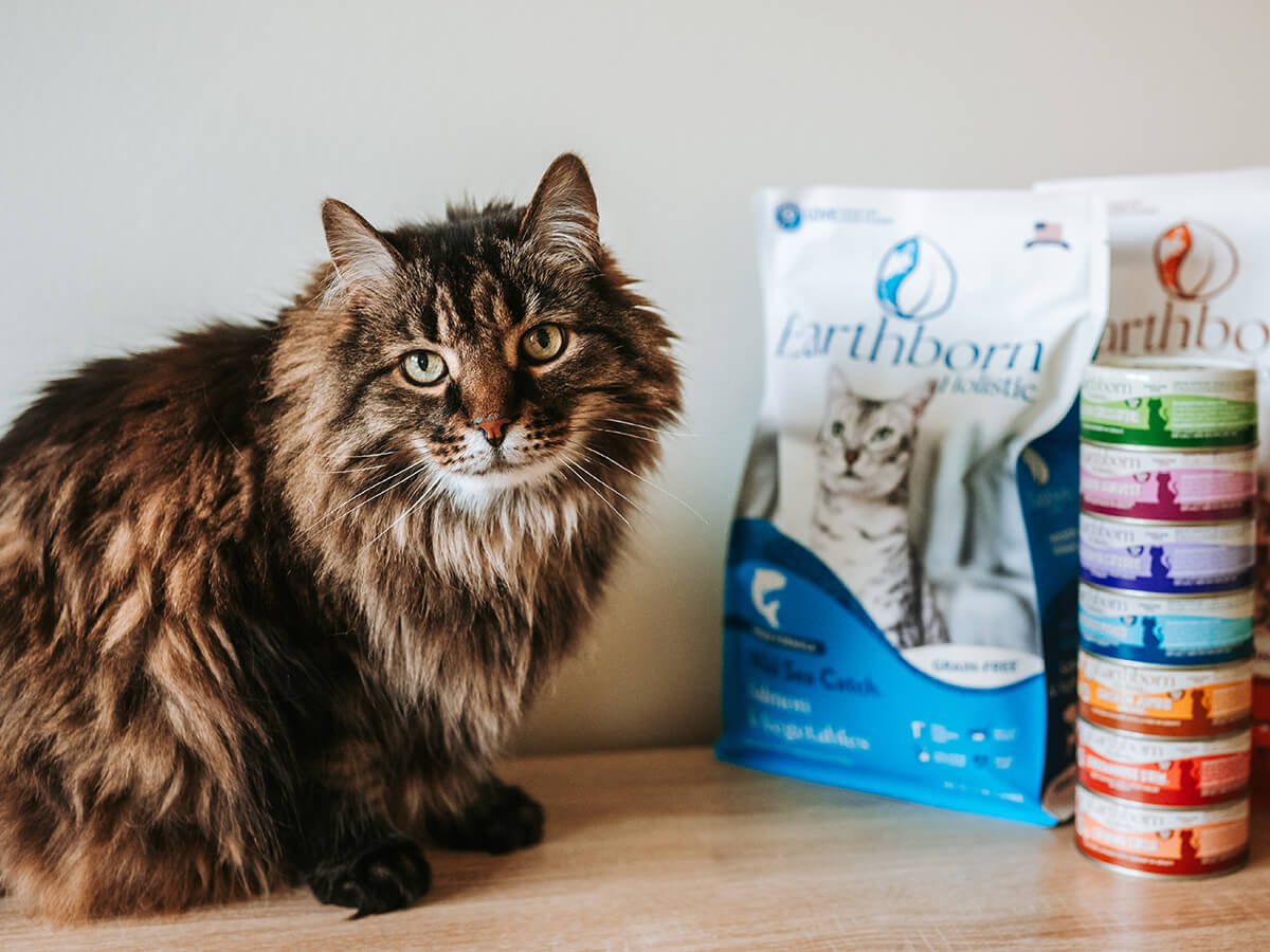 Long-haired cat sitting beside a bag of Earthborn Holistic Wild Sea Catch and Earthborn wet food cans
