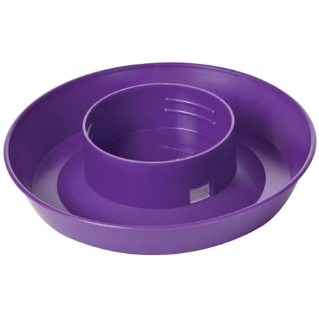 Little Giant screw-on poultry waterer base, purple, 1 quart capacity.