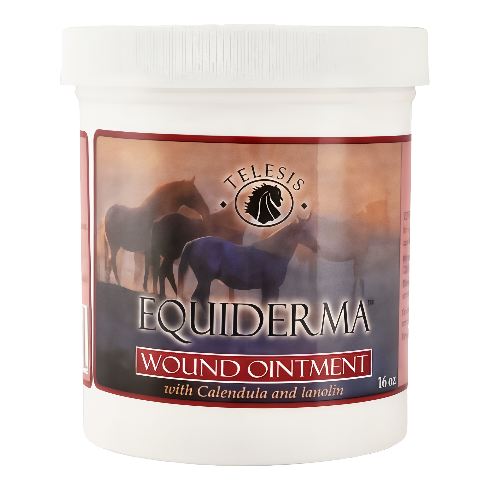Equiderma Wound Ointment for Horses