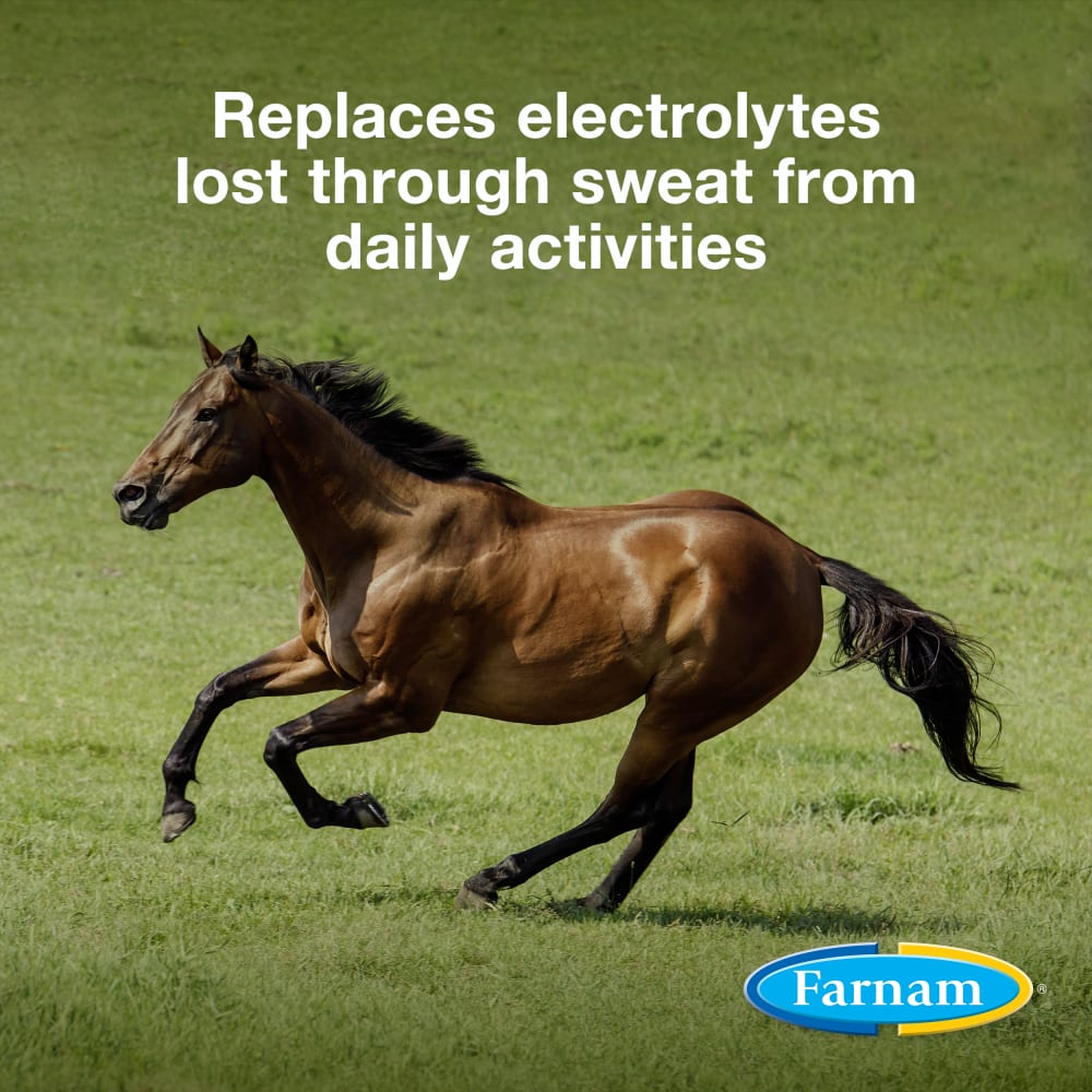 Farnam Apple Elite Electrolyte Powder