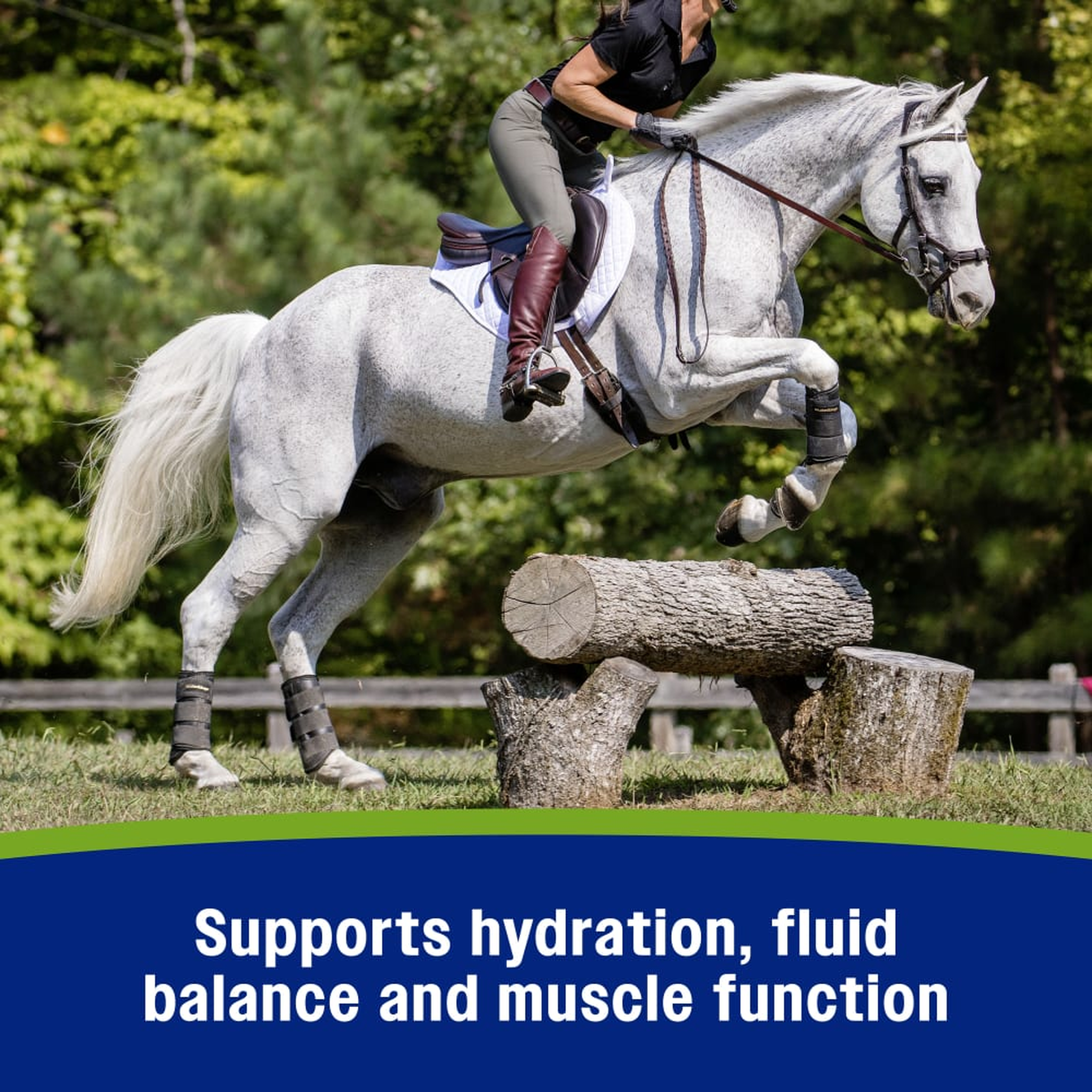 Farnam Apple Elite Electrolyte Powder - Supports hydration, fluid balance and muscle function