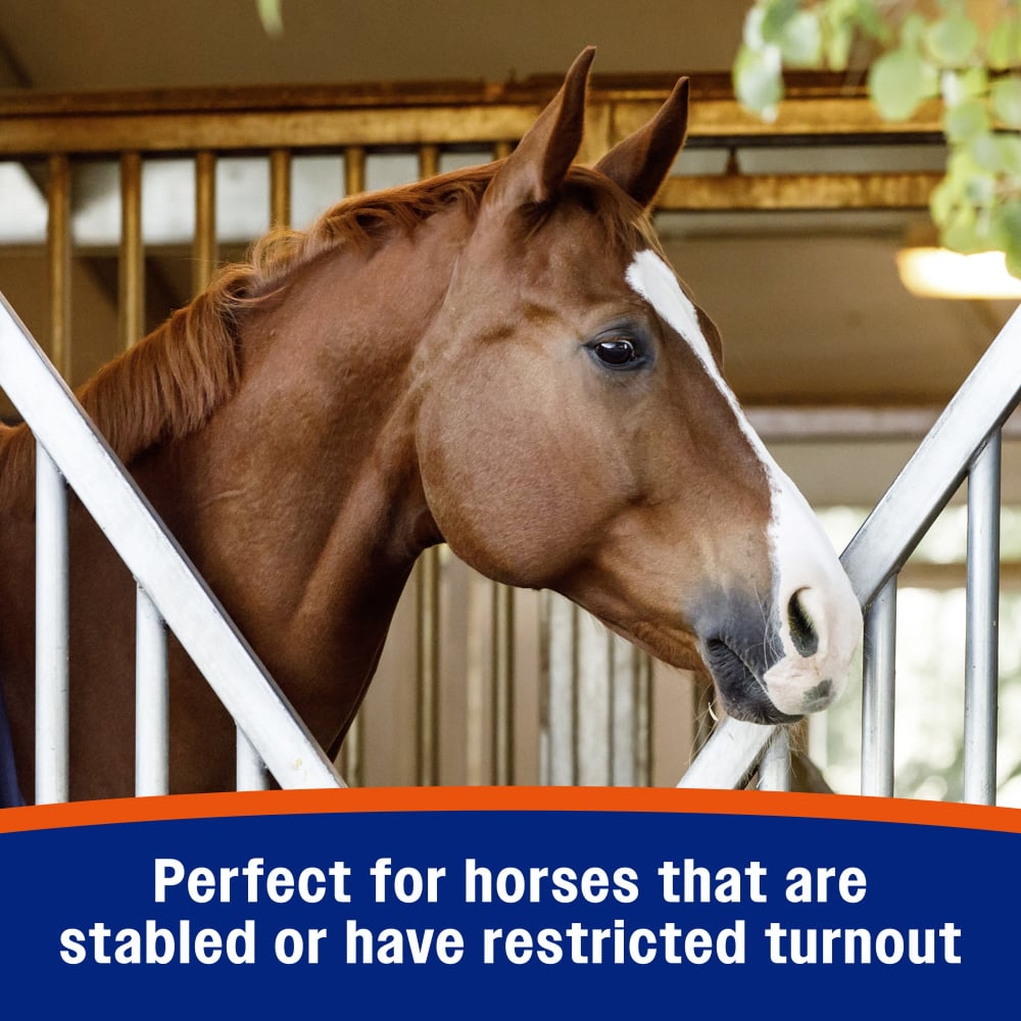 Farnam Cough Free Pellets Respiratory Health Supplement - Perfect for horses that are stabled or have limited or restricted turnout