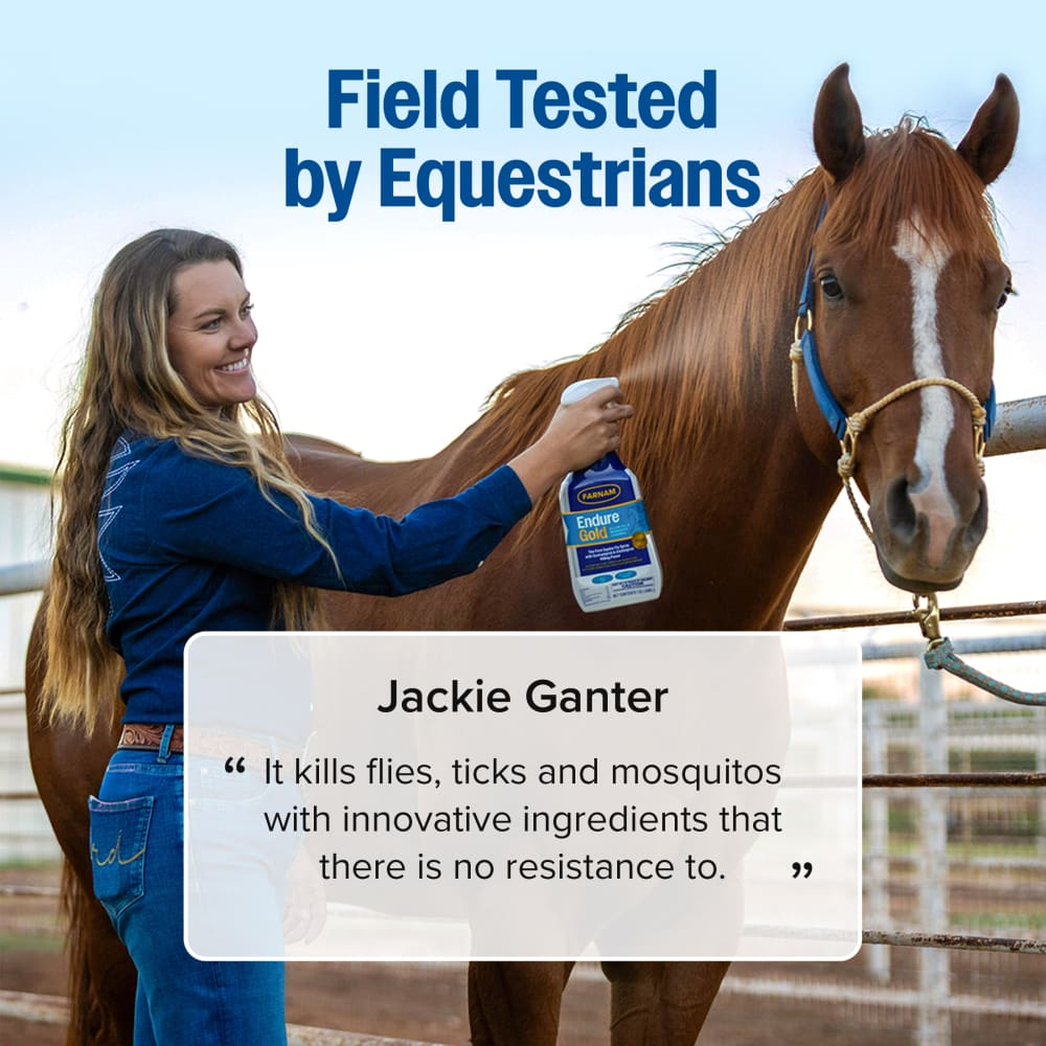 Farnam Endure Gold Fly Spray for Horses (4)