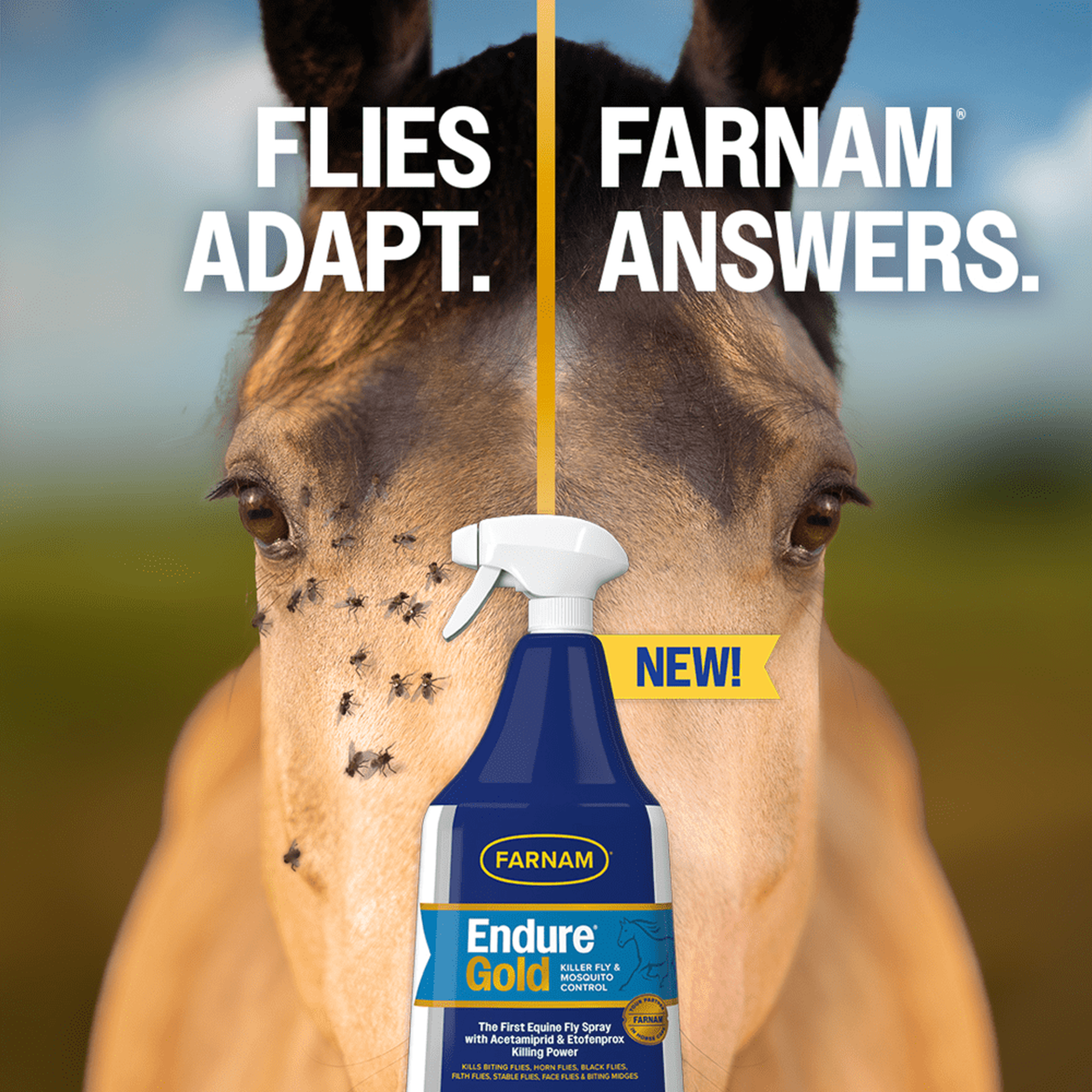 Farnam Endure Gold Fly Spray for Horses (6)