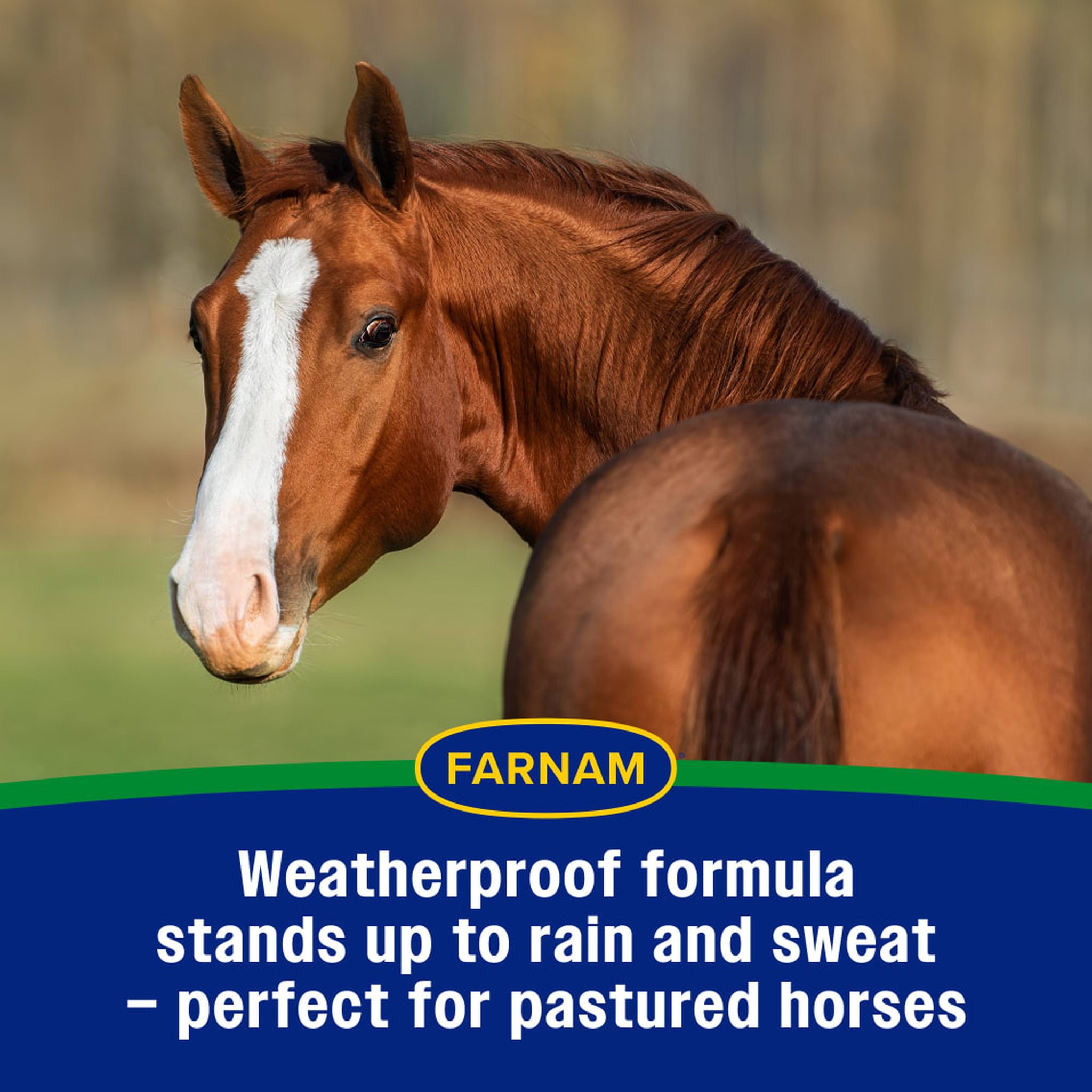 Farnam Equi-Spot Spot-On Protection for Horses (4)
