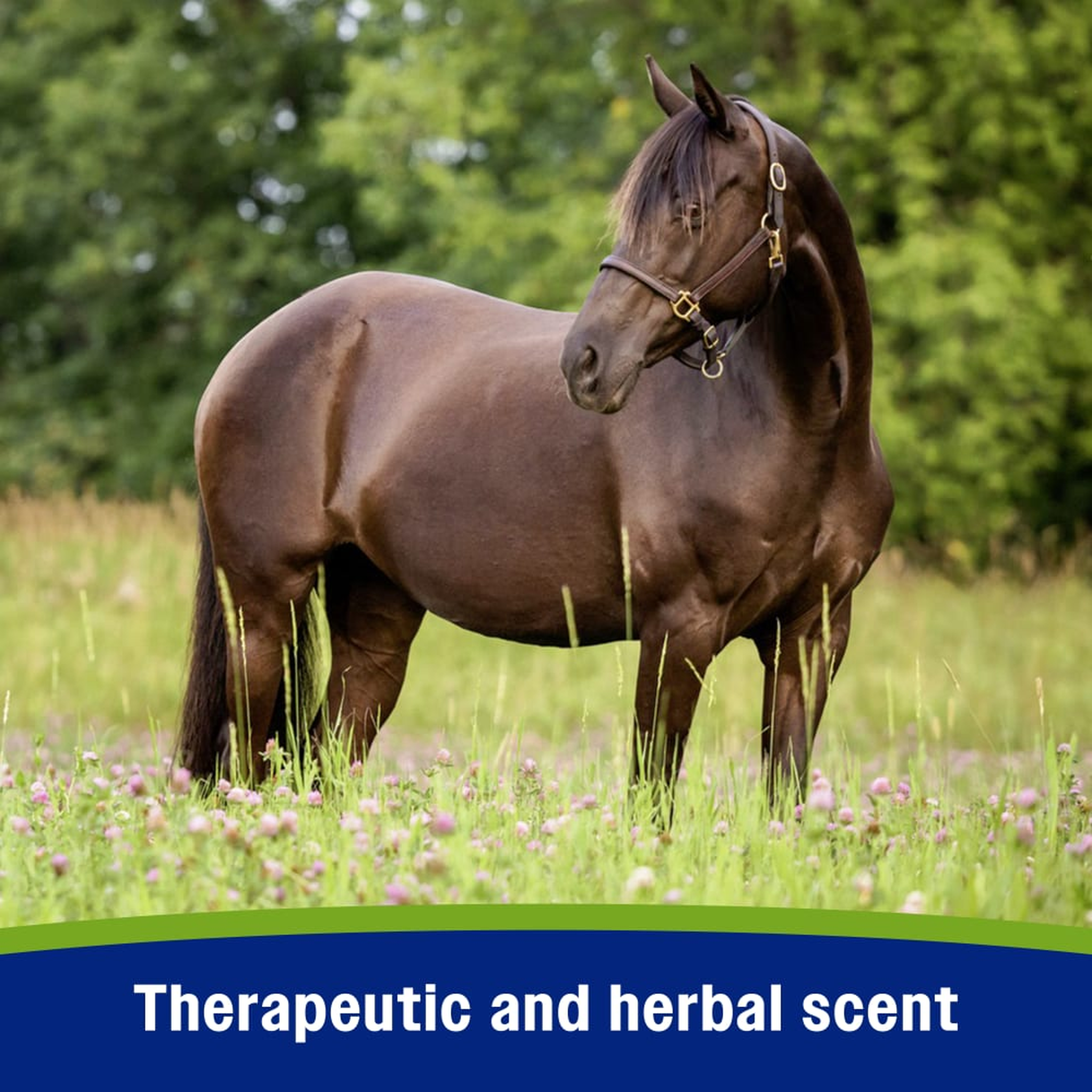 Farnam Equisect Water-Based Botanical Fly Repellent - Therapeutic and herbal scent