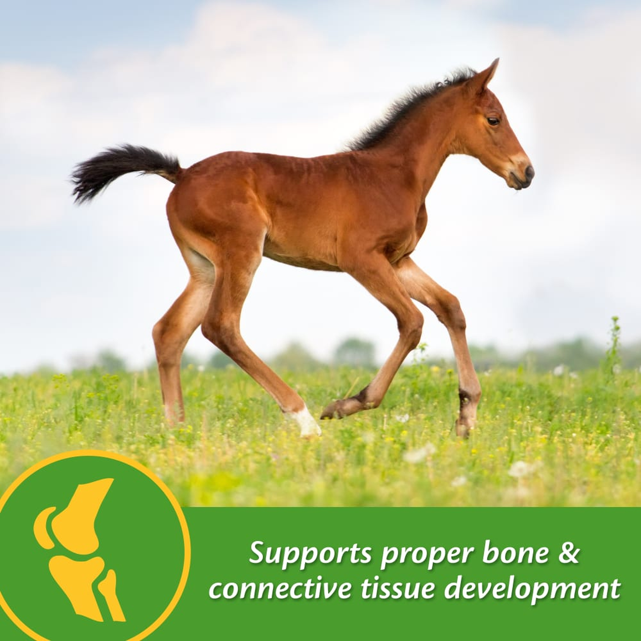 Farnam Grow Colt Growth & Development Supplement (2)