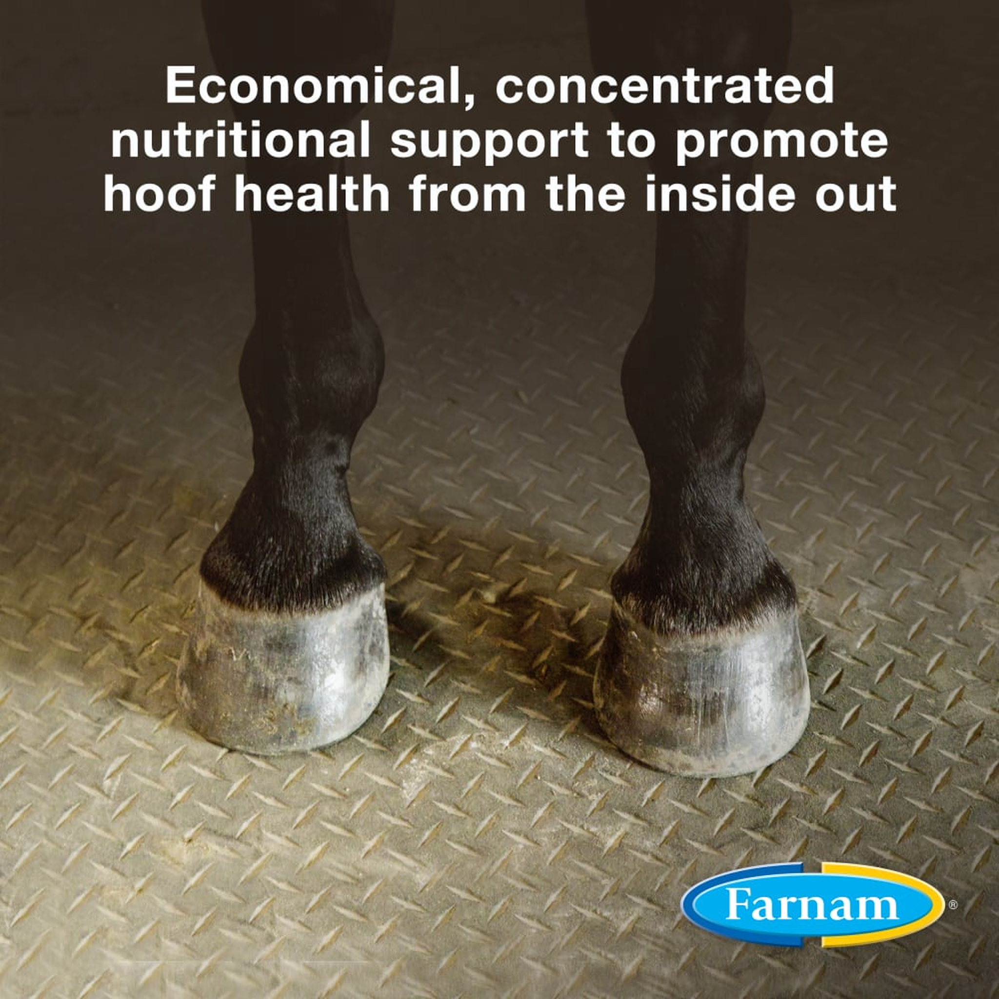 Farnam Horseshoer's Secret Concentrate Hoof Supplement