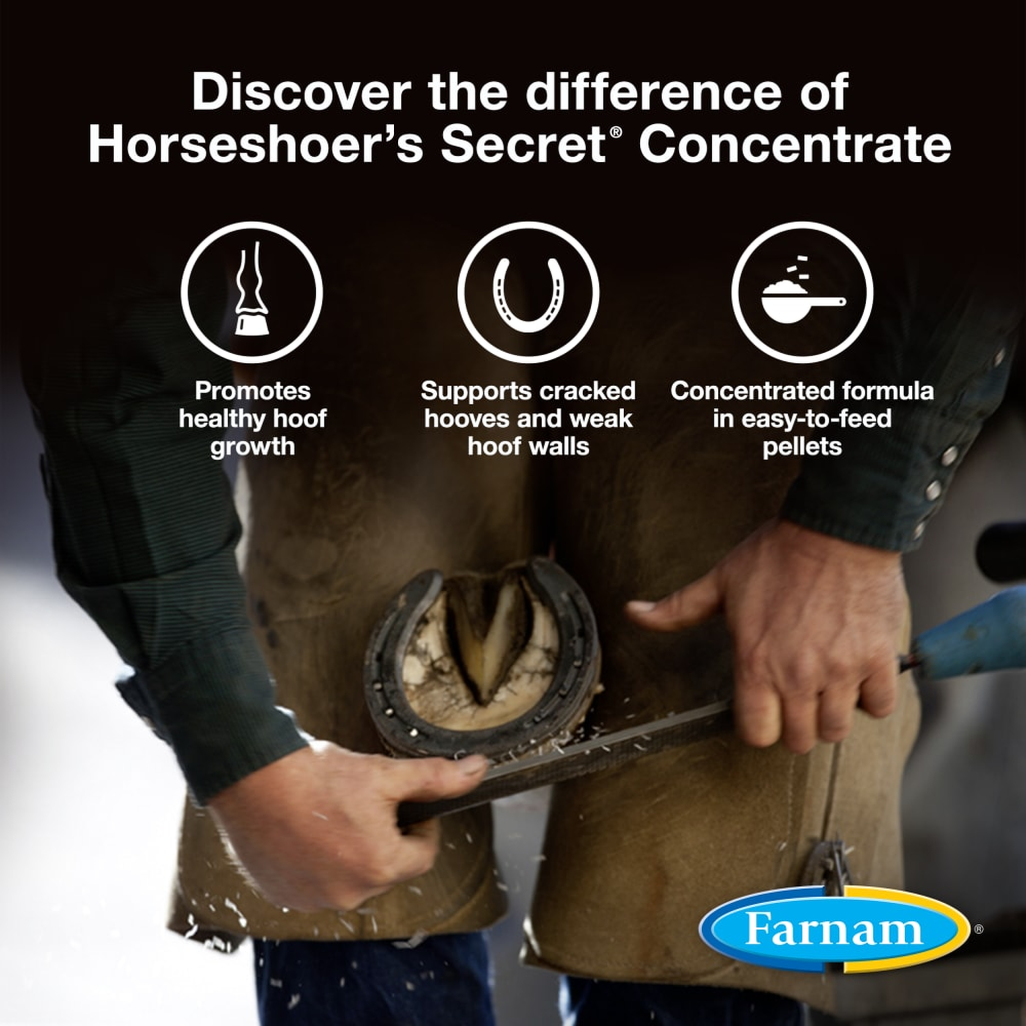Farnam Horseshoer's Secret Concentrate Hoof Supplement (2)