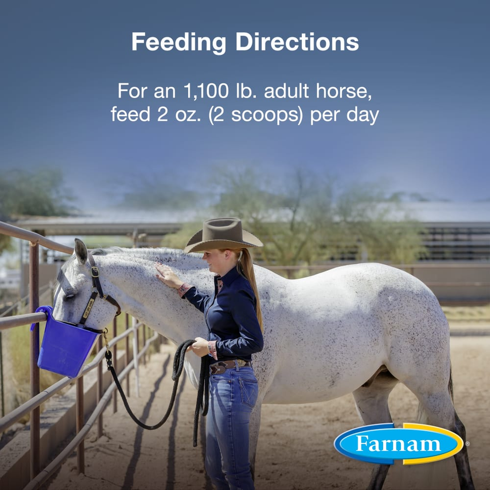 Farnam Horseshoer's Secret Concentrate Hoof Supplement (3)