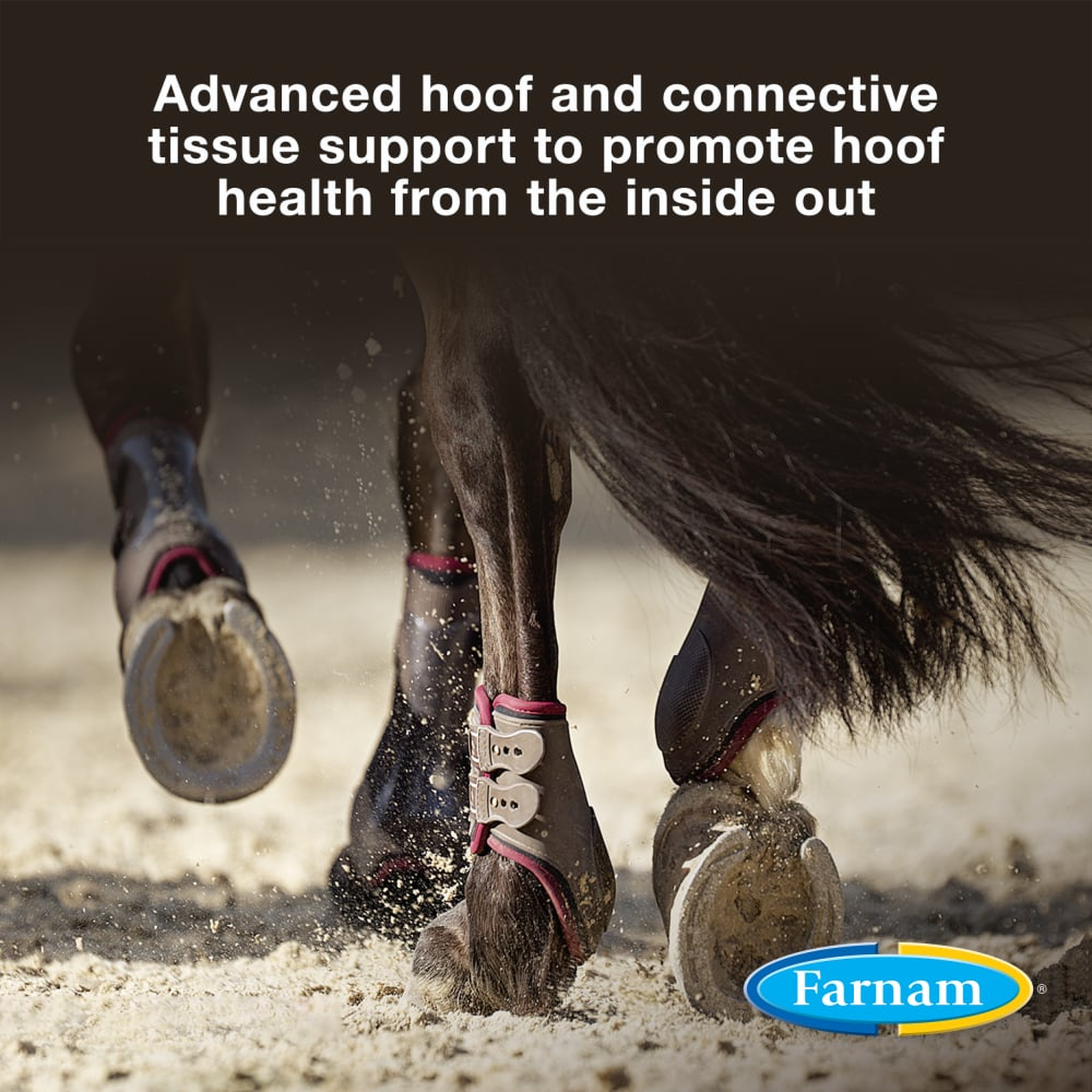 Farnam Horseshoer's Secret Extra Strength Hoof Supplement
