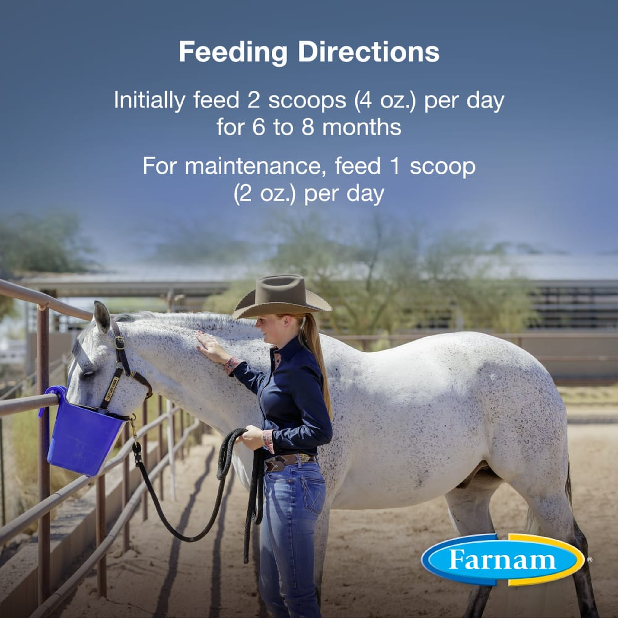 Farnam Horseshoer's Secret Extra Strength Hoof Supplement (3)