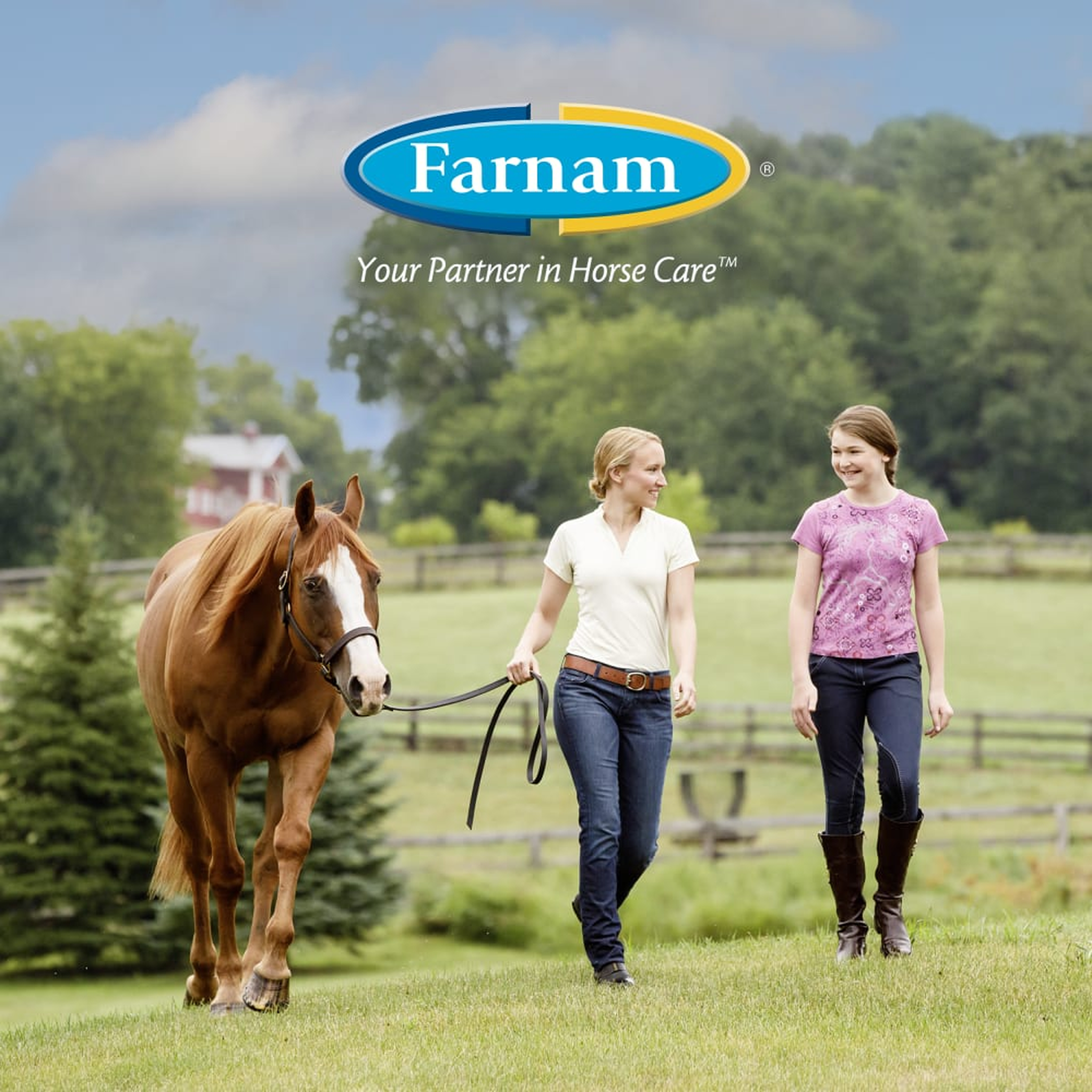 Farnam Horseshoer's Secret Extra Strength Hoof Supplement being used on a horse (2)