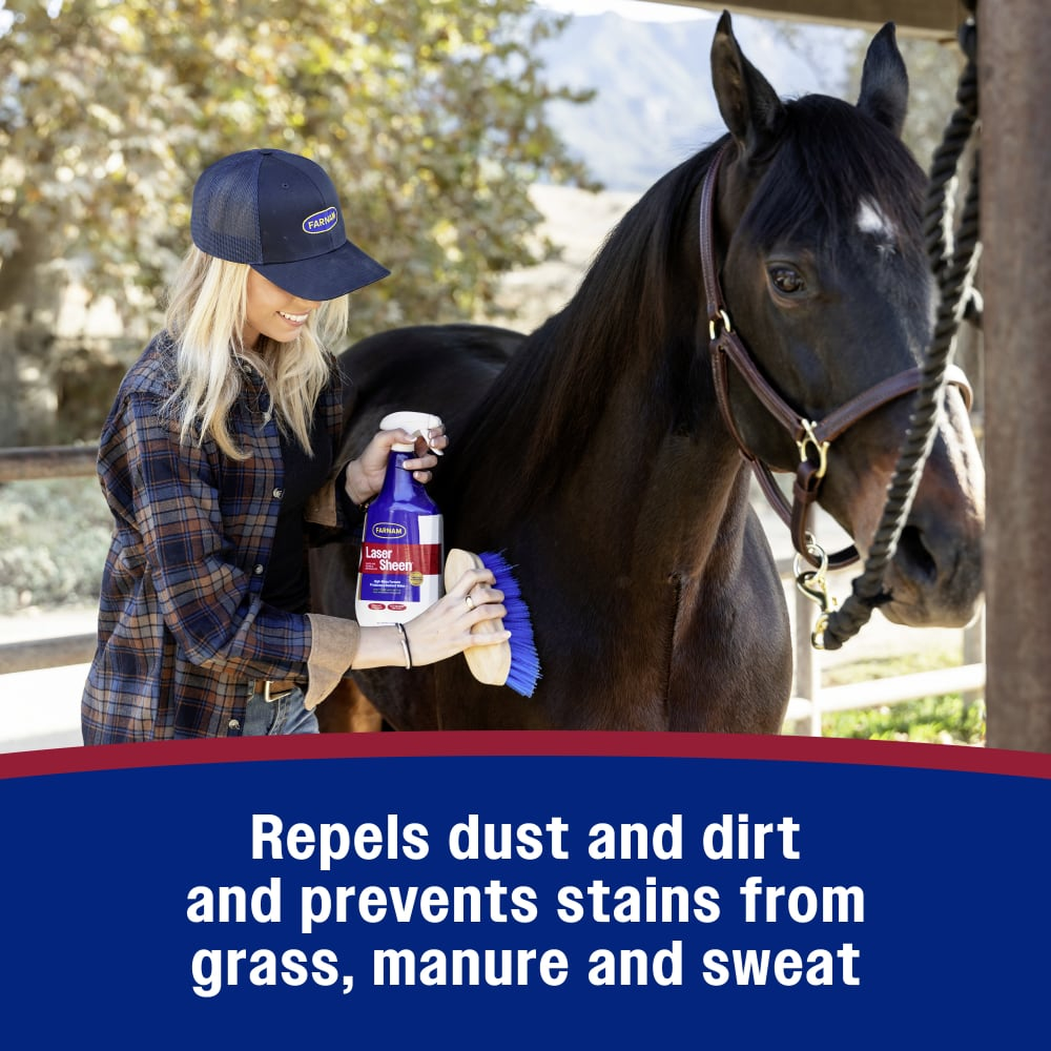 Farnam Laser Sheen Dazzling Shine & Detangler - Repels dust and dirt and prevents stains from grass manure and sweat